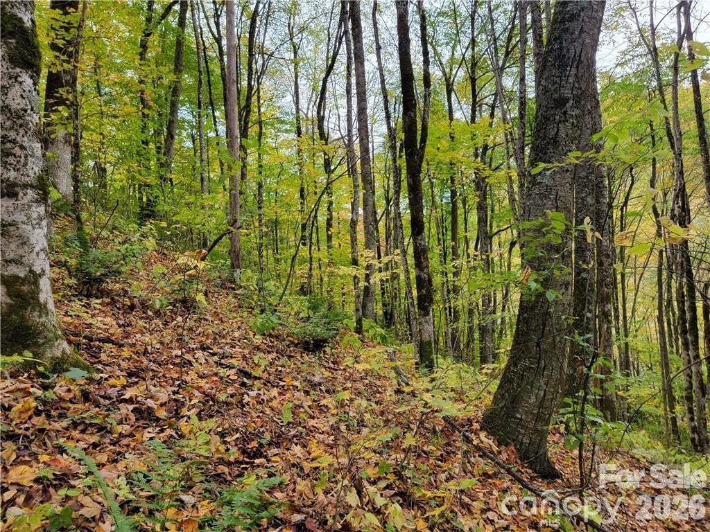 24 Tater Patch Road - Photo 26