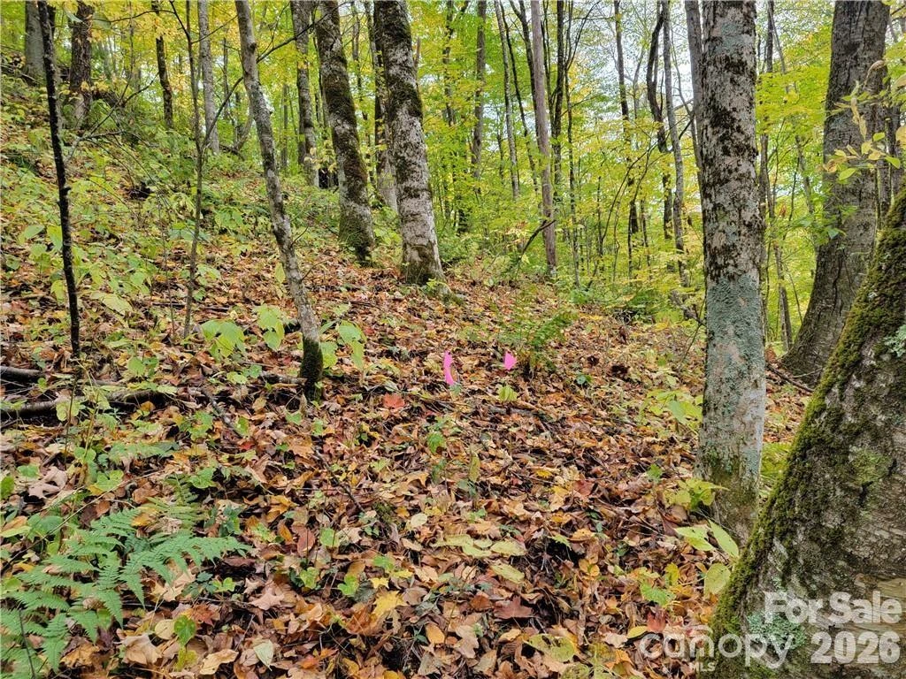 24 Tater Patch Road - Photo 27