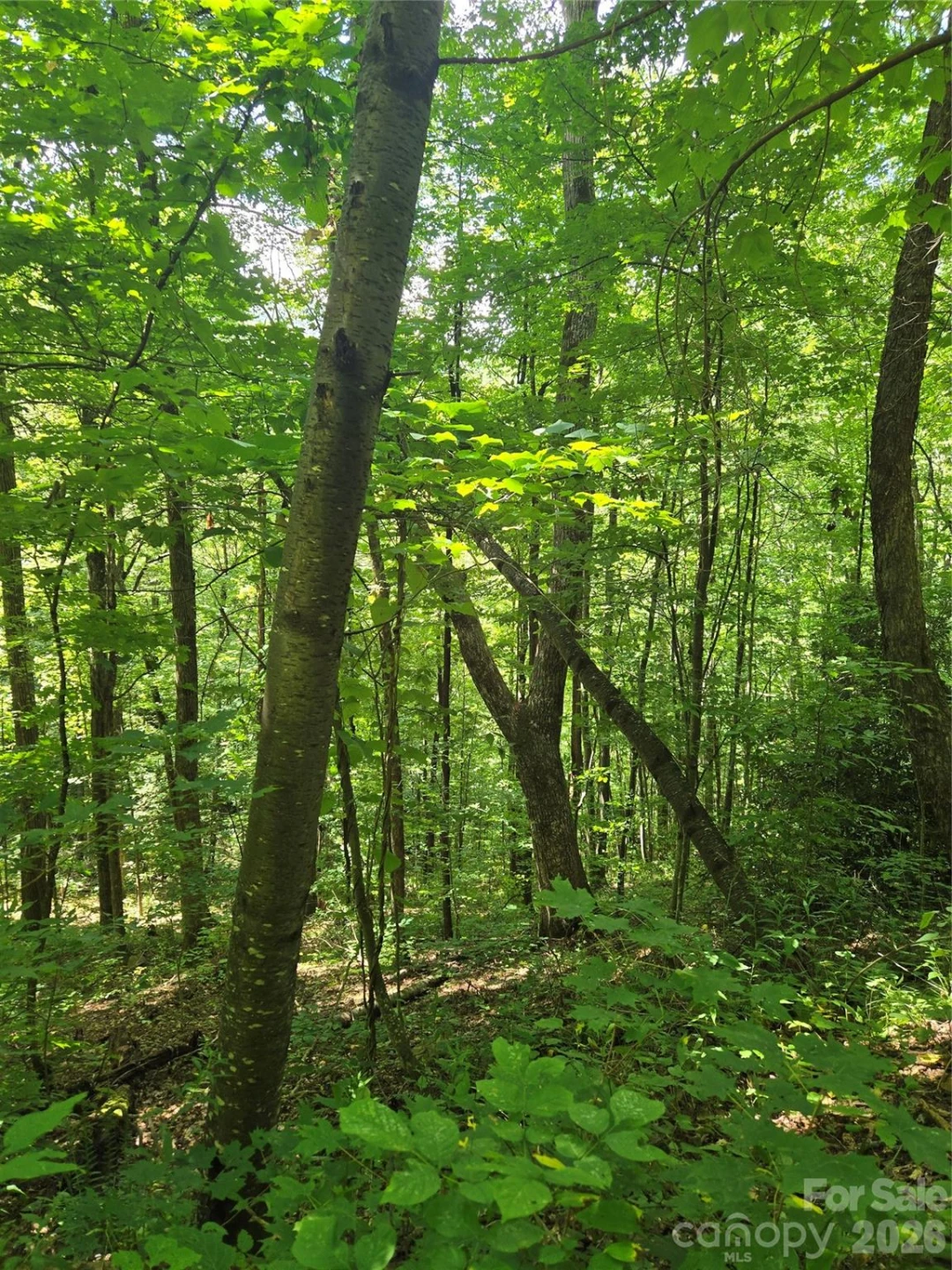 24 Tater Patch Road - Photo 29