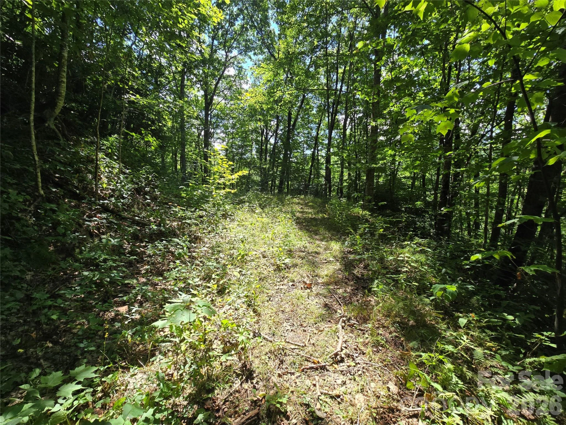24 Tater Patch Road - Photo 31