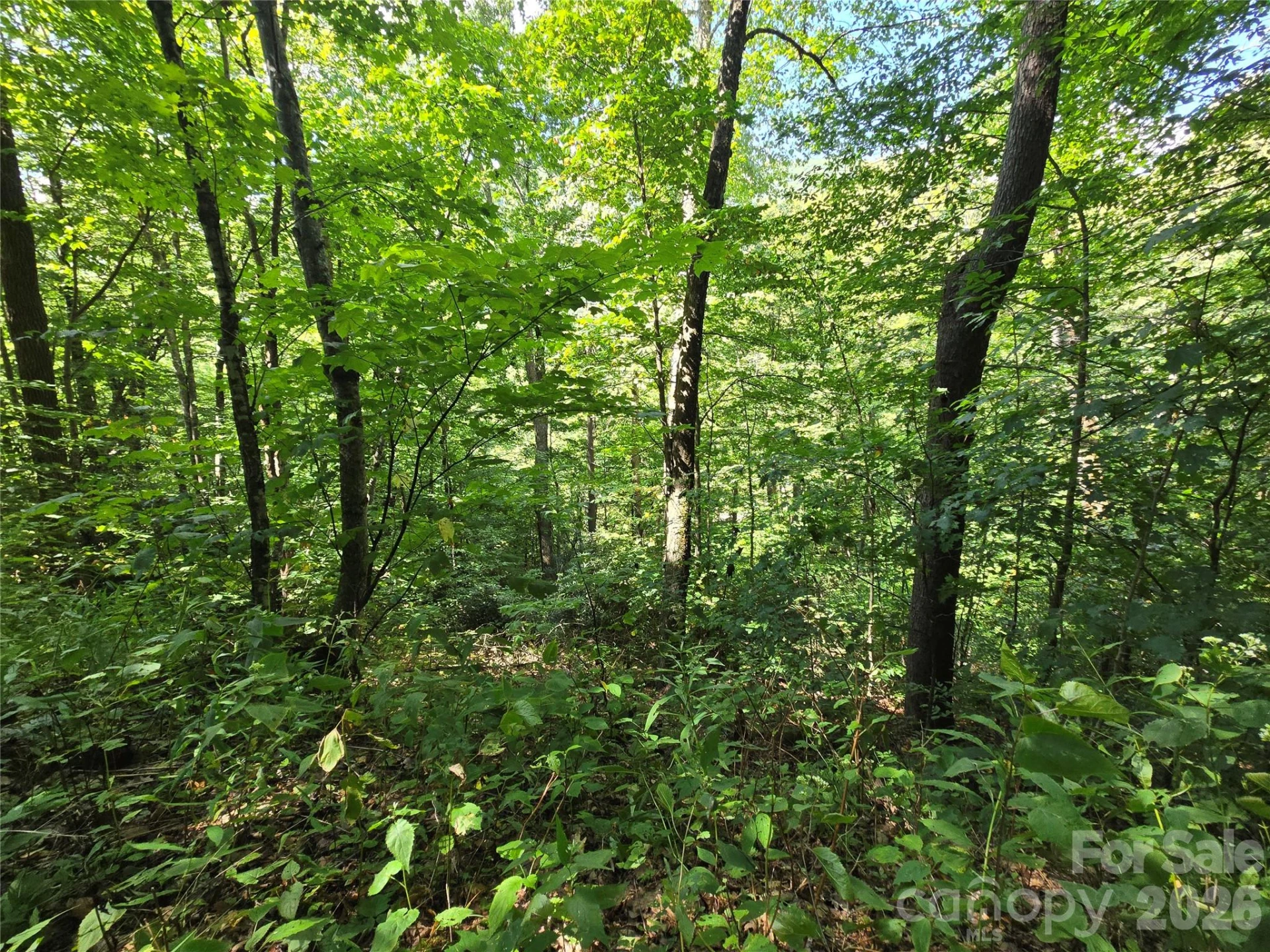 24 Tater Patch Road - Photo 32