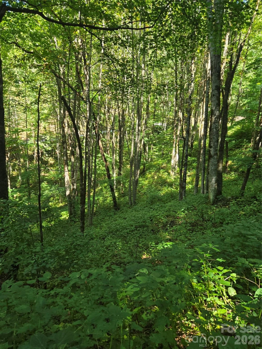24 Tater Patch Road - Photo 34