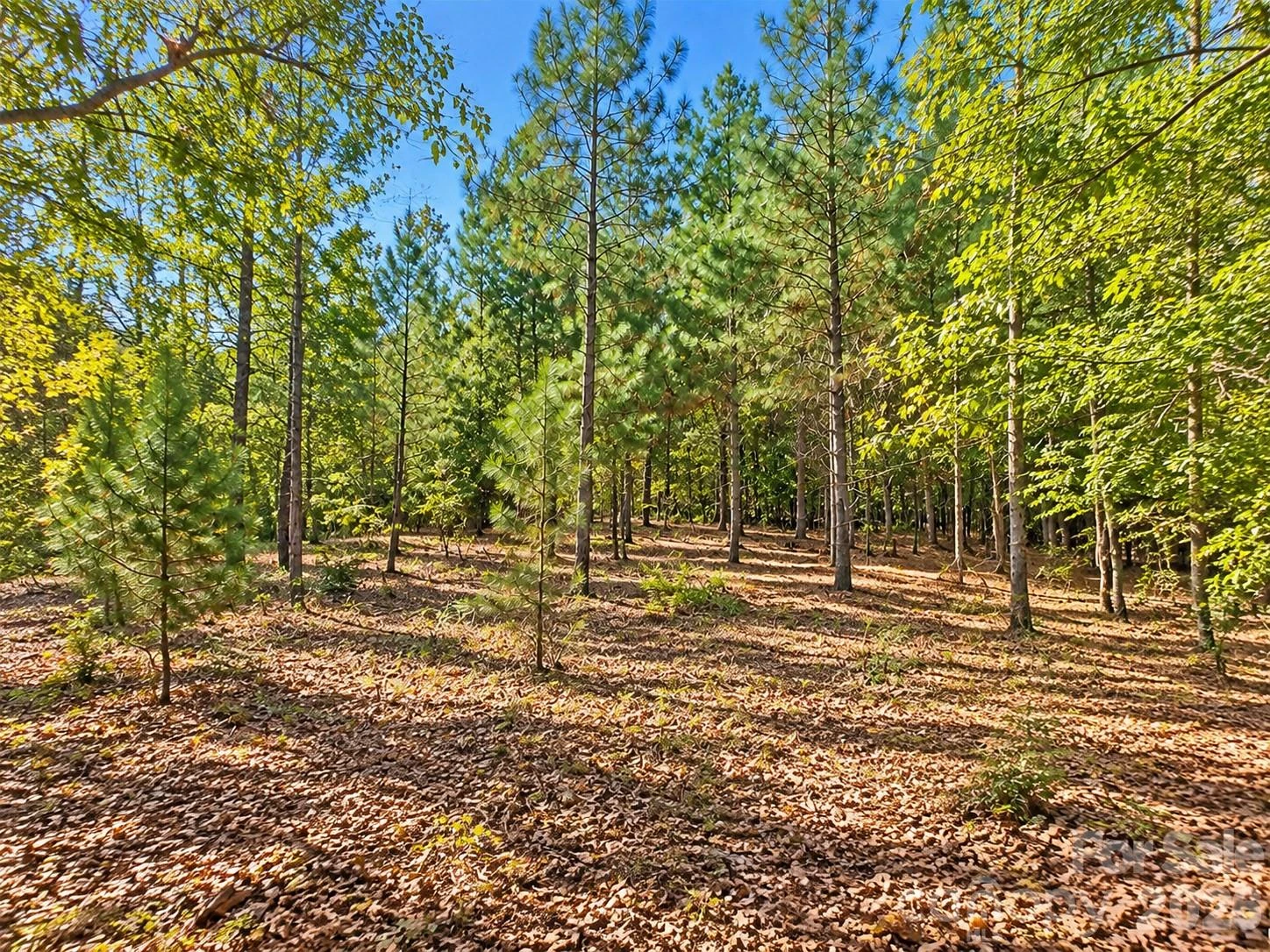 212 Woodset Drive - Photo 9
