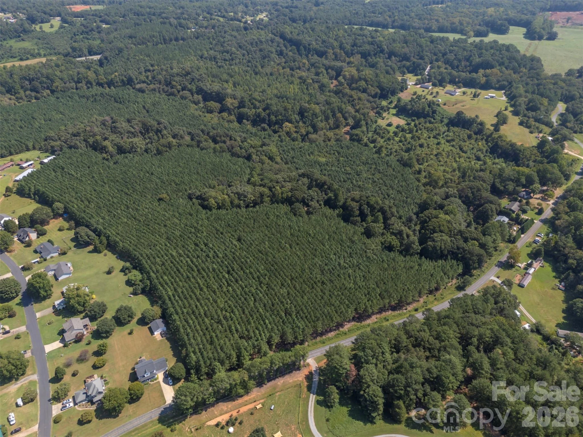212 Woodset Drive - Photo 17