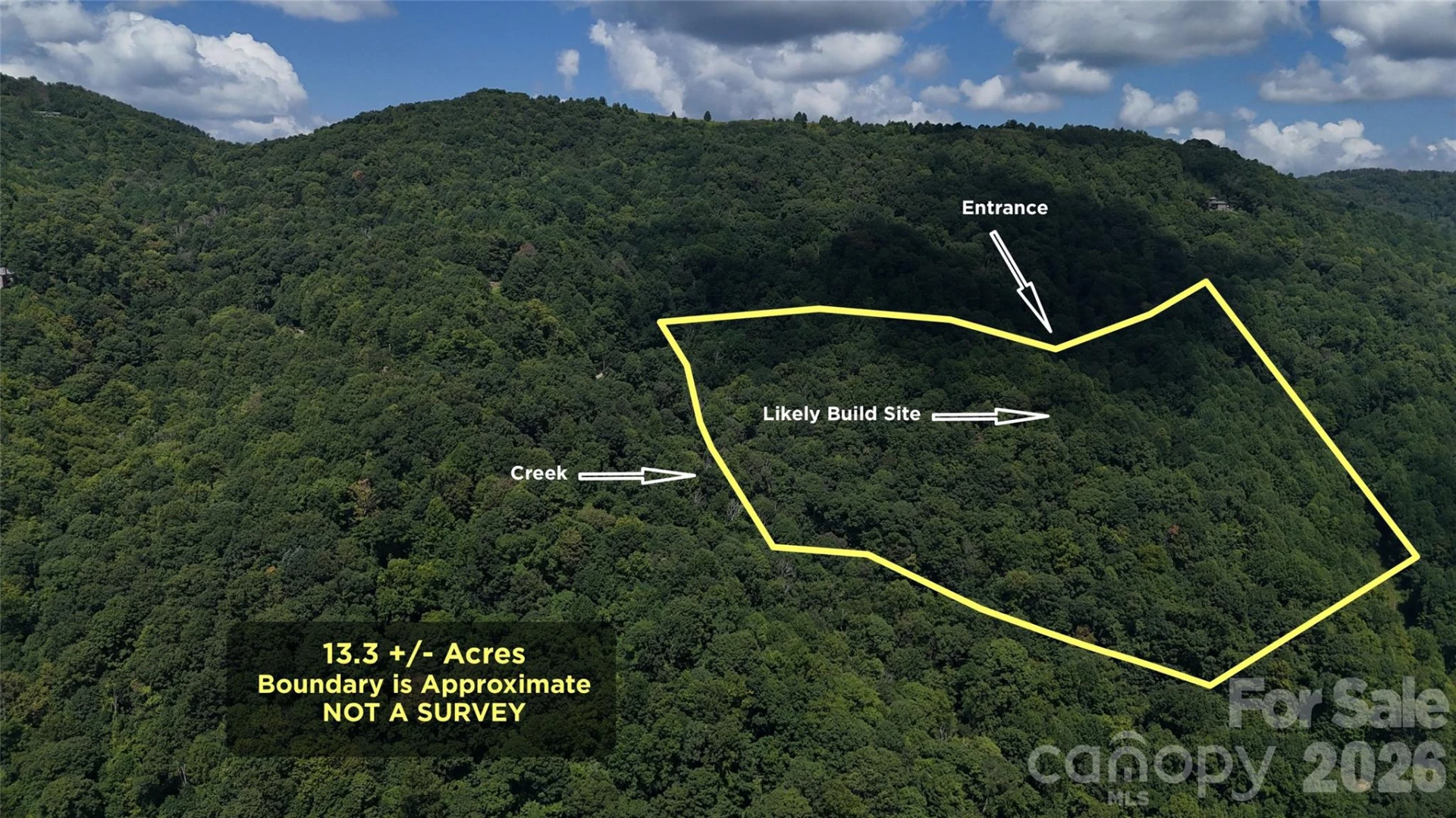 TBD Black Bear Trail - Photo 2