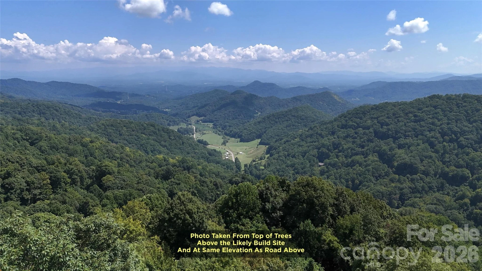 TBD Black Bear Trail - Photo 4