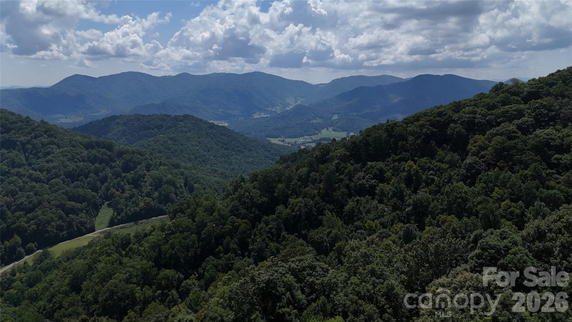 TBD Black Bear Trail - Photo 5