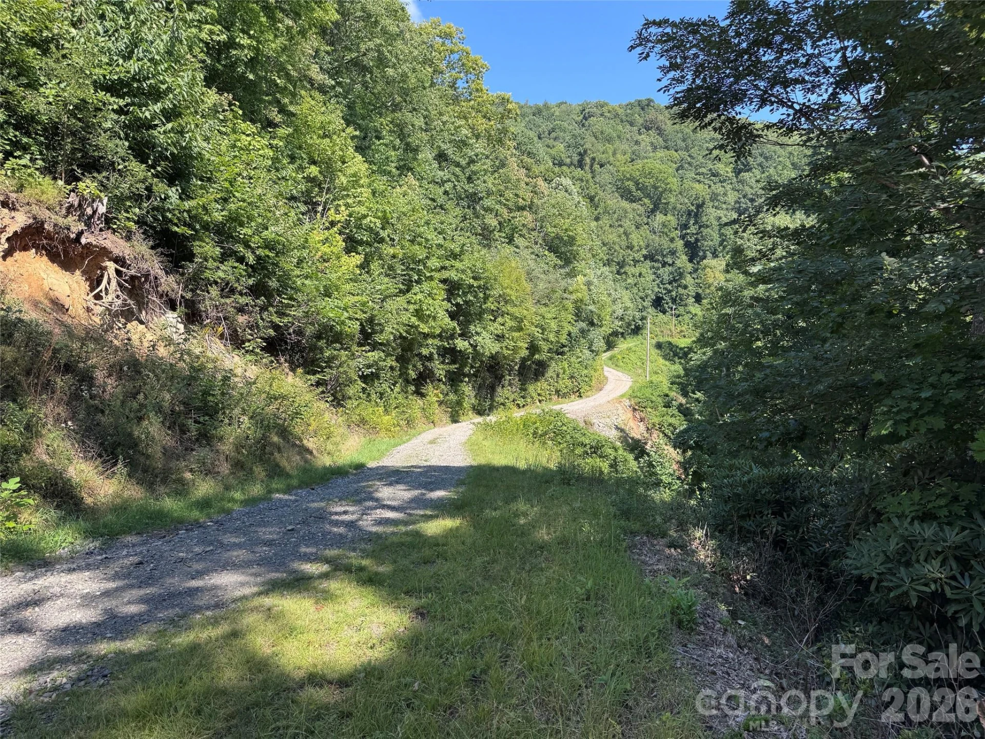 TBD Black Bear Trail - Photo 7