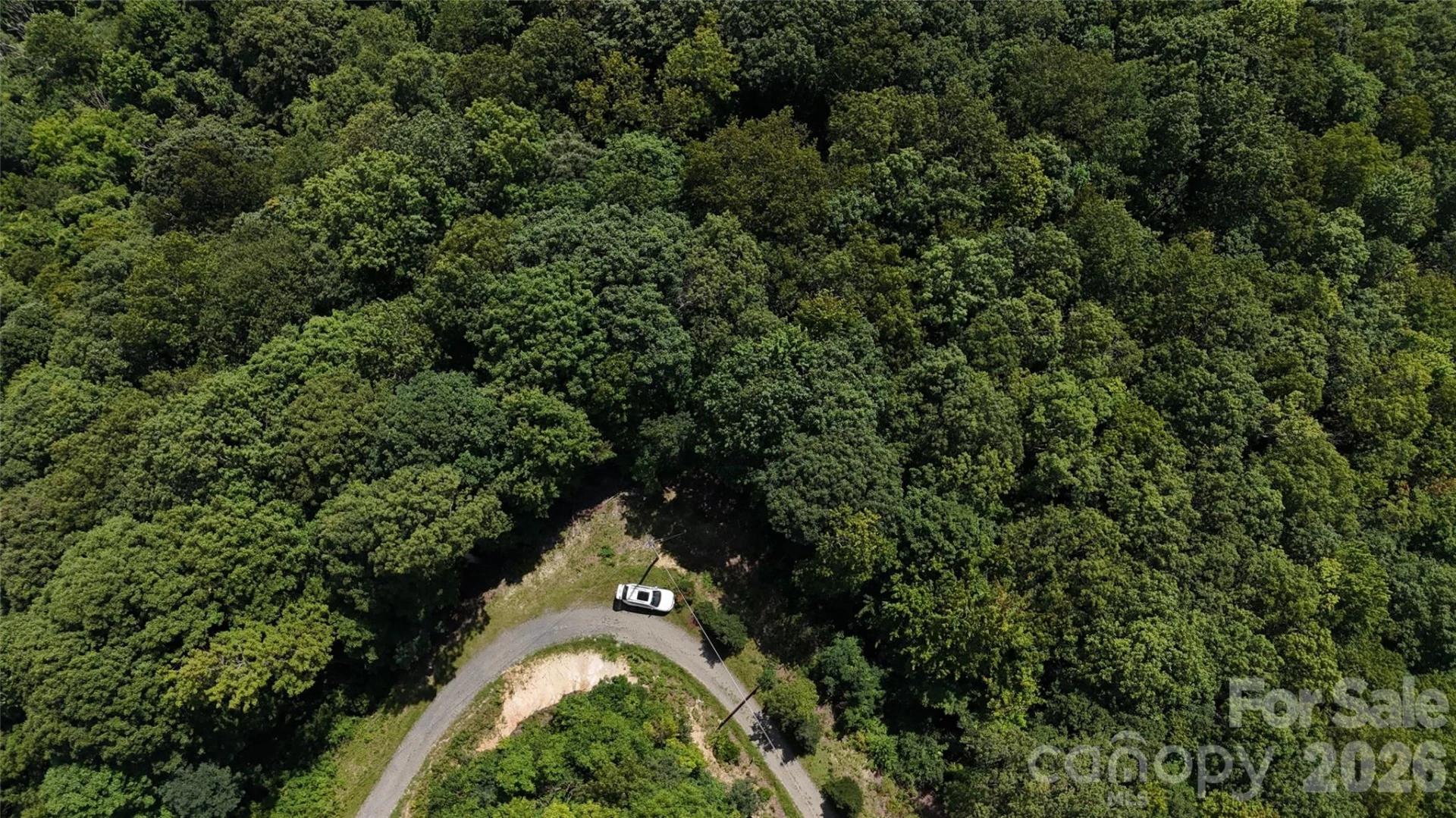 TBD Black Bear Trail - Photo 8