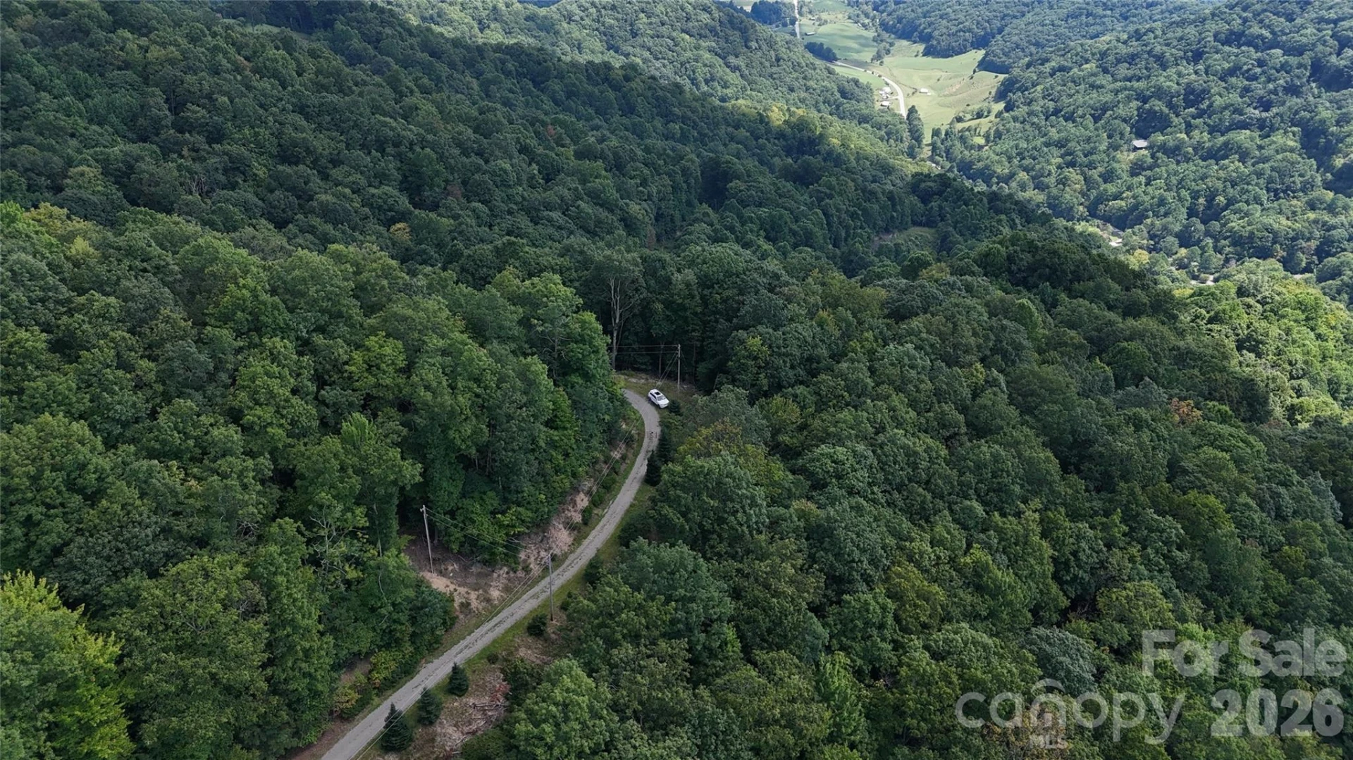 TBD Black Bear Trail - Photo 9