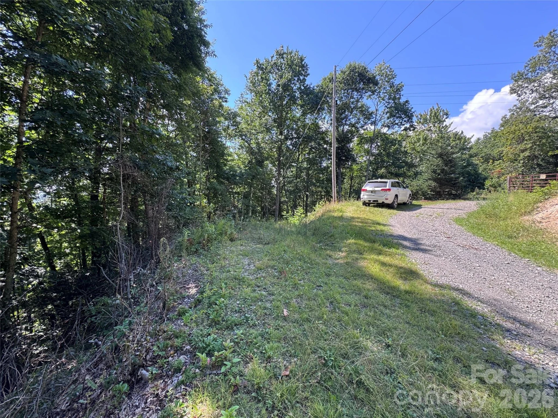 TBD Black Bear Trail - Photo 10