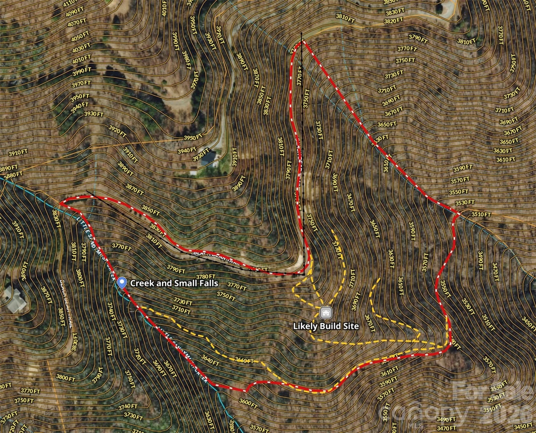 TBD Black Bear Trail - Photo 11