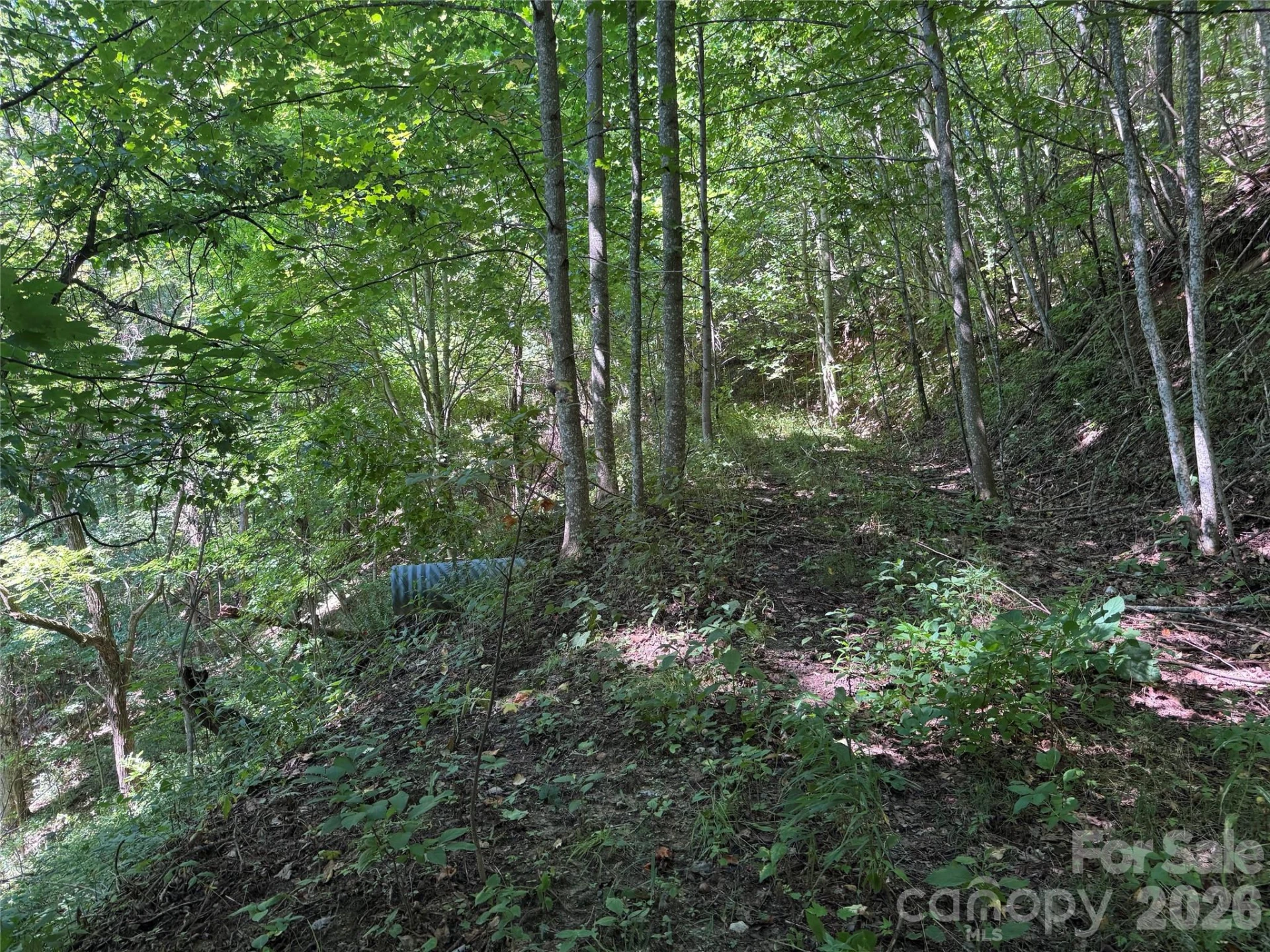 TBD Black Bear Trail - Photo 19
