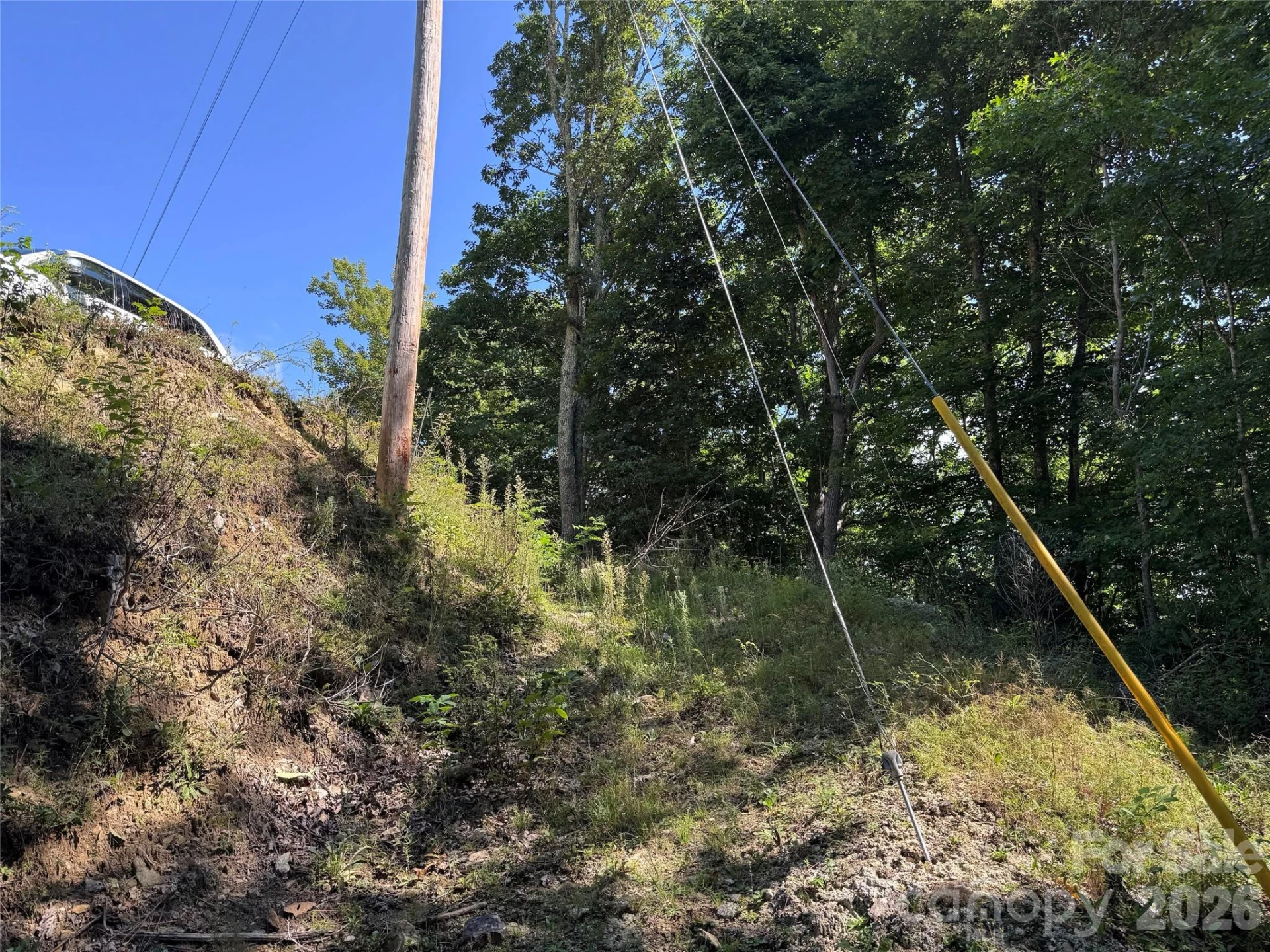 TBD Black Bear Trail - Photo 28
