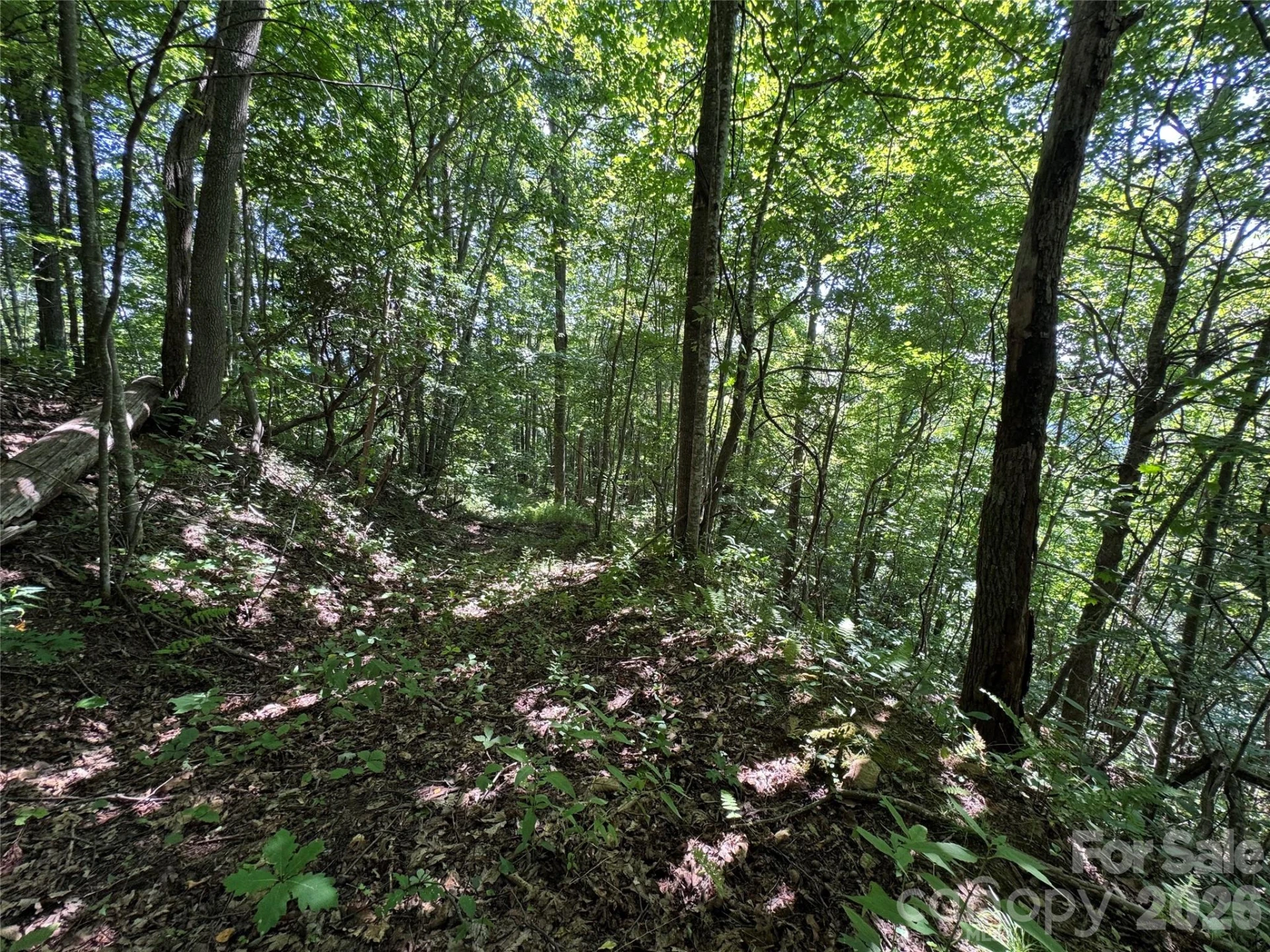 TBD Black Bear Trail - Photo 29