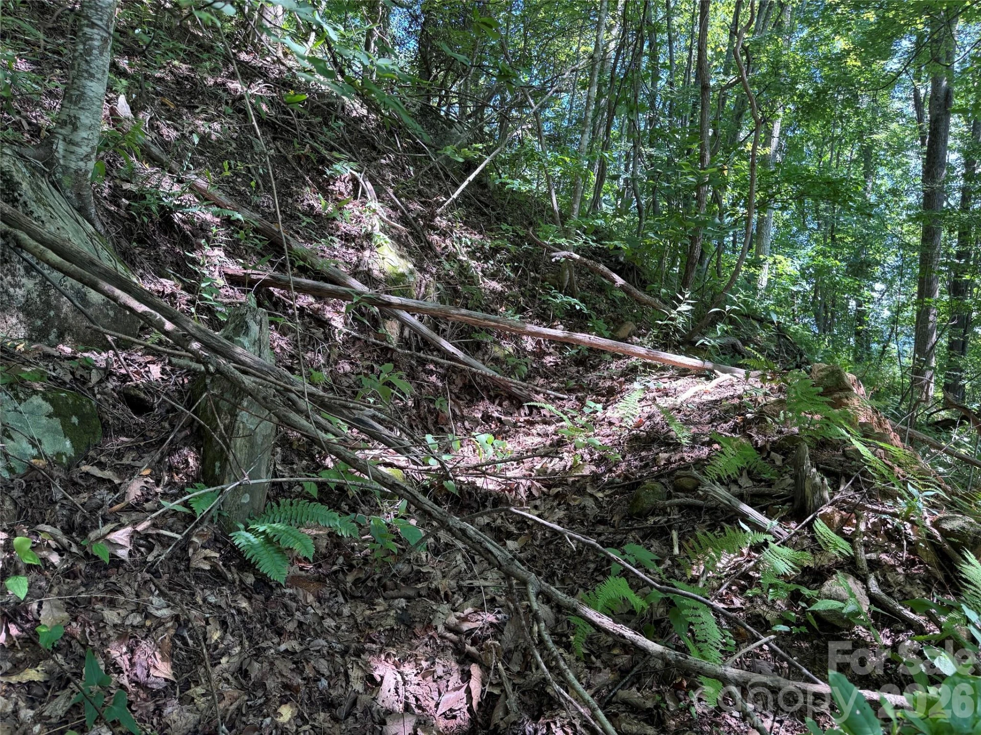 TBD Black Bear Trail - Photo 30