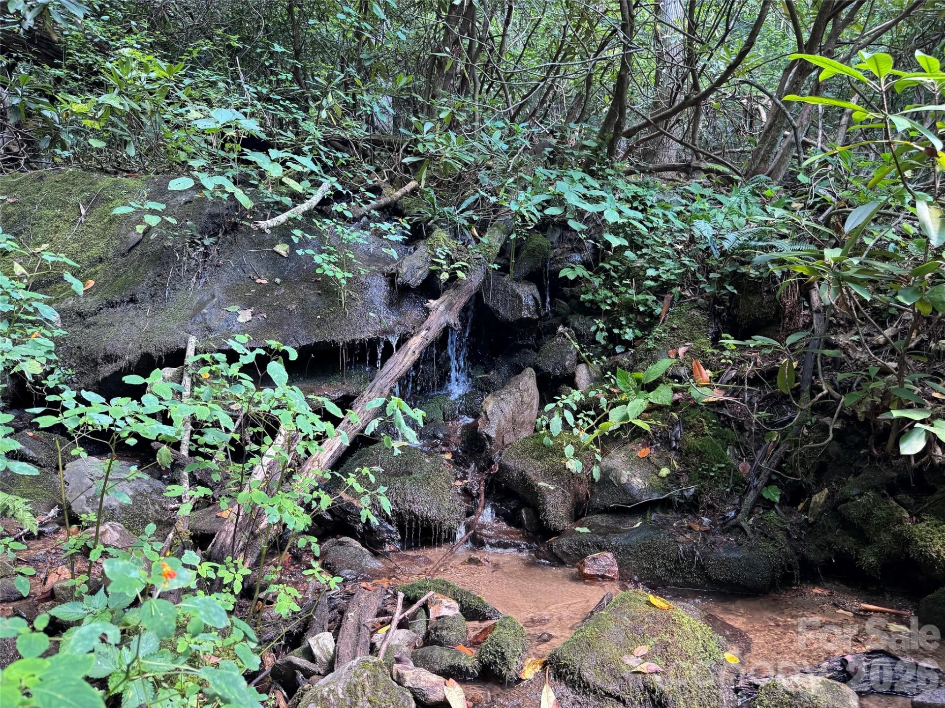 TBD Black Bear Trail - Photo 33