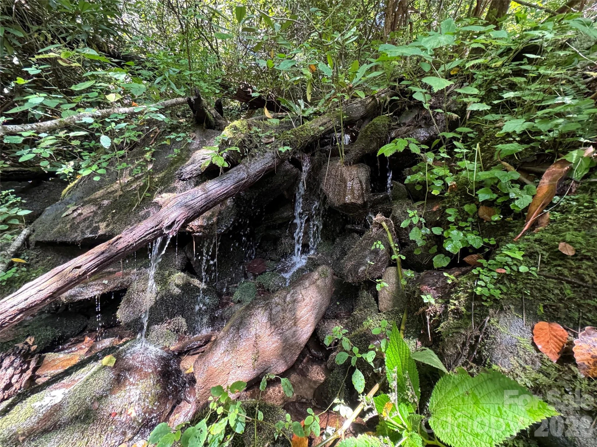 TBD Black Bear Trail - Photo 35