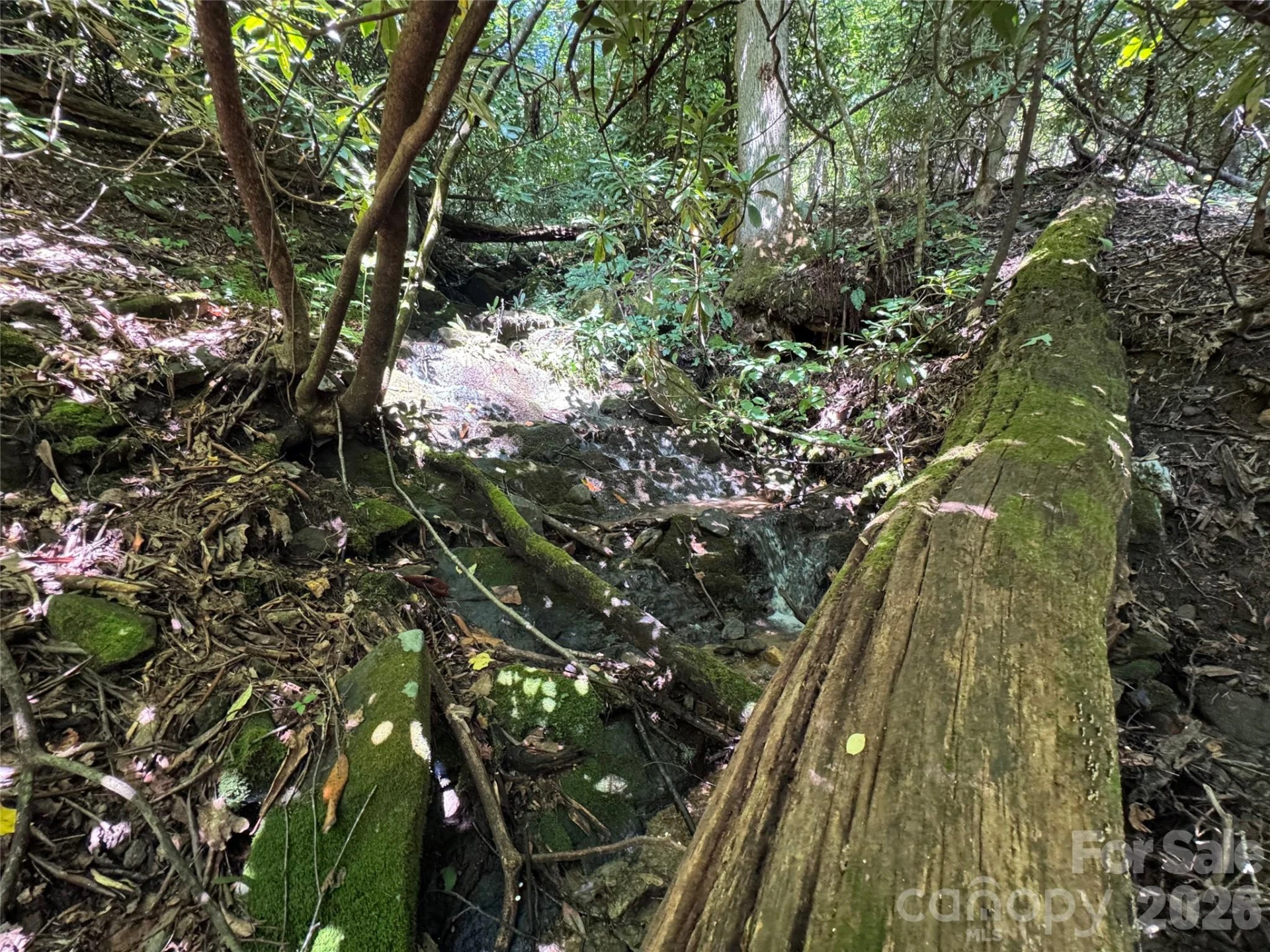 TBD Black Bear Trail - Photo 36