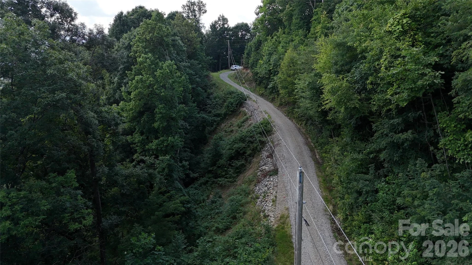 TBD Black Bear Trail - Photo 37