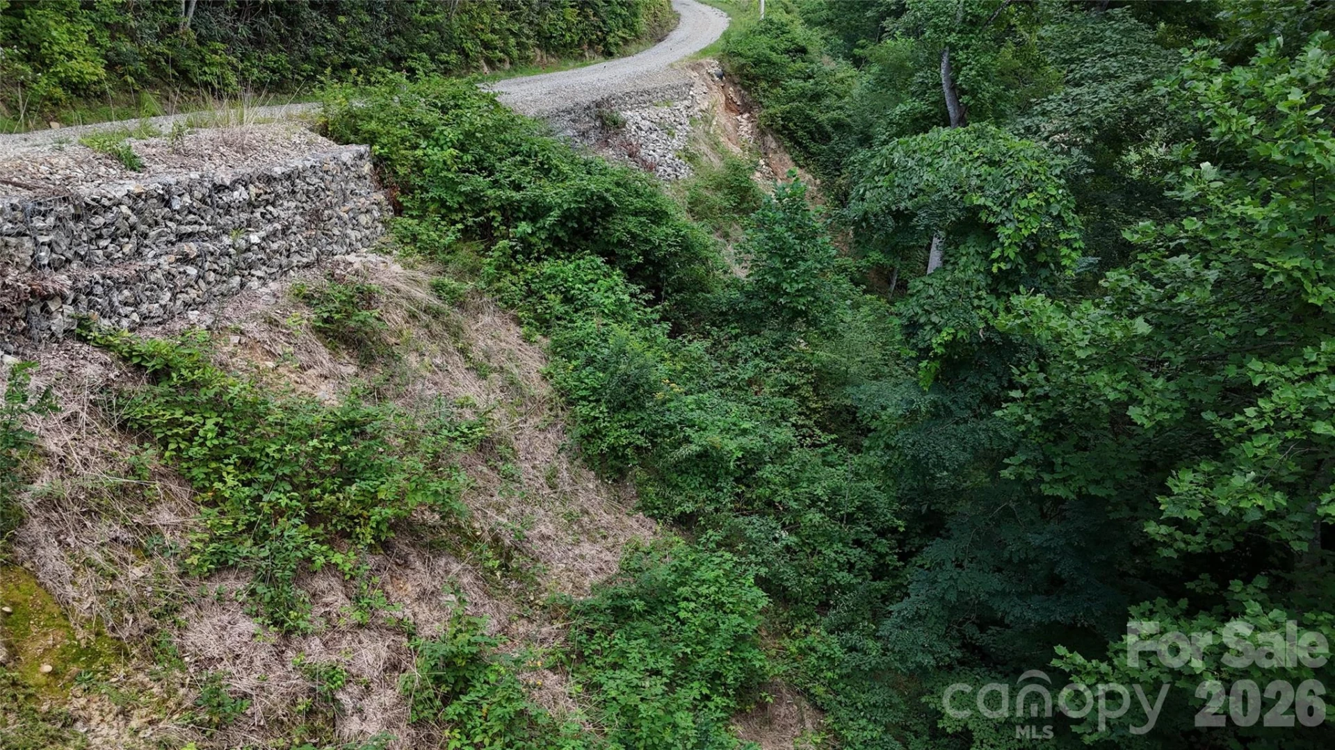 TBD Black Bear Trail - Photo 38