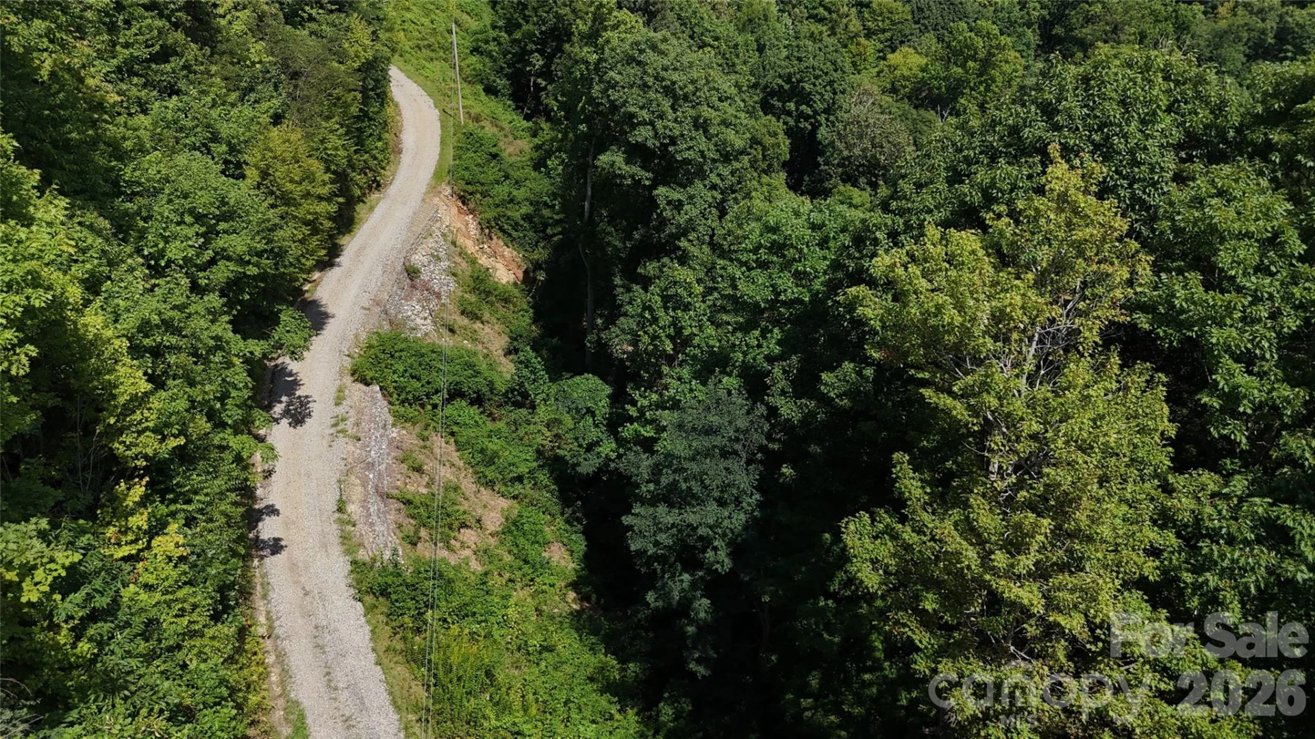 TBD Black Bear Trail - Photo 39