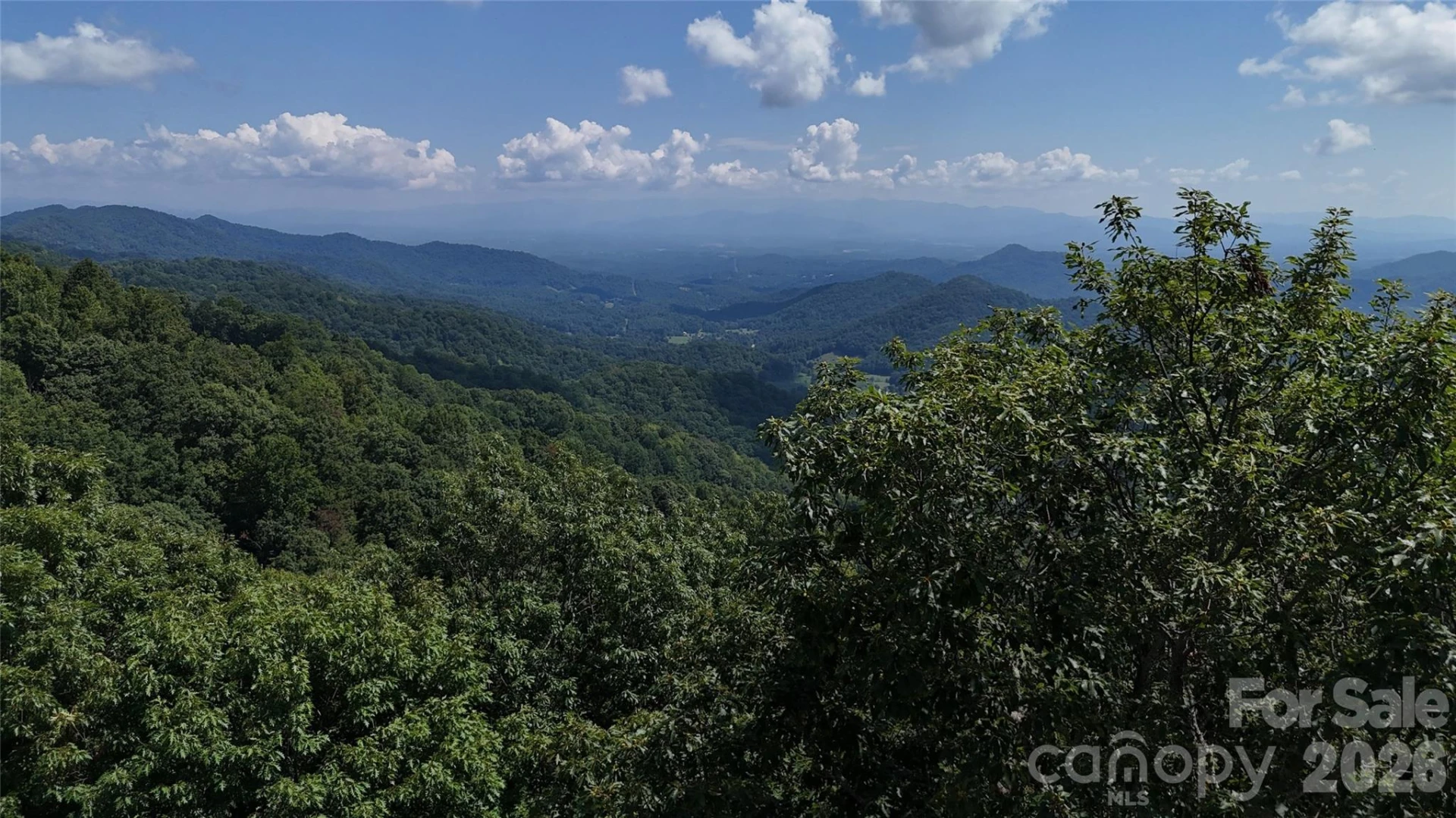 TBD Black Bear Trail - Photo 40