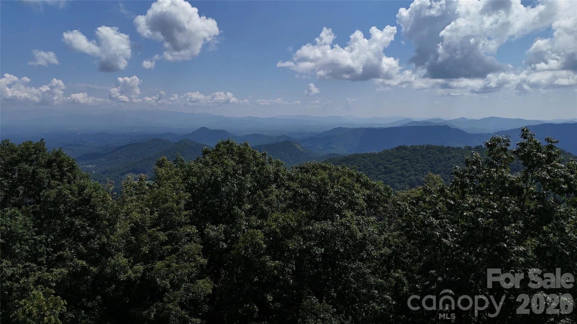 TBD Black Bear Trail - Photo 41