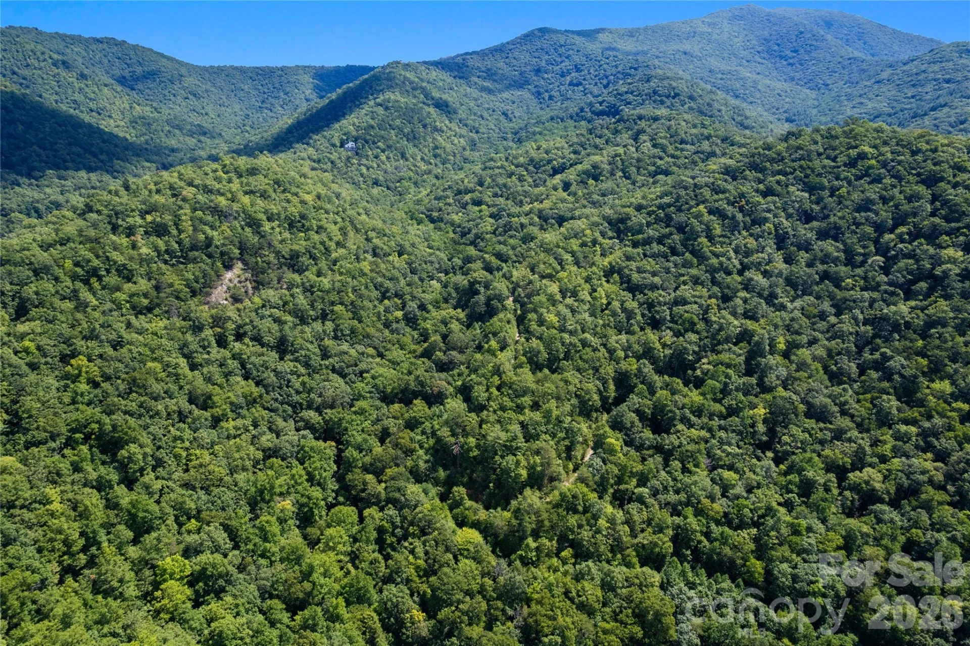 OFF Little East Fork Road #L-1 - Photo 3
