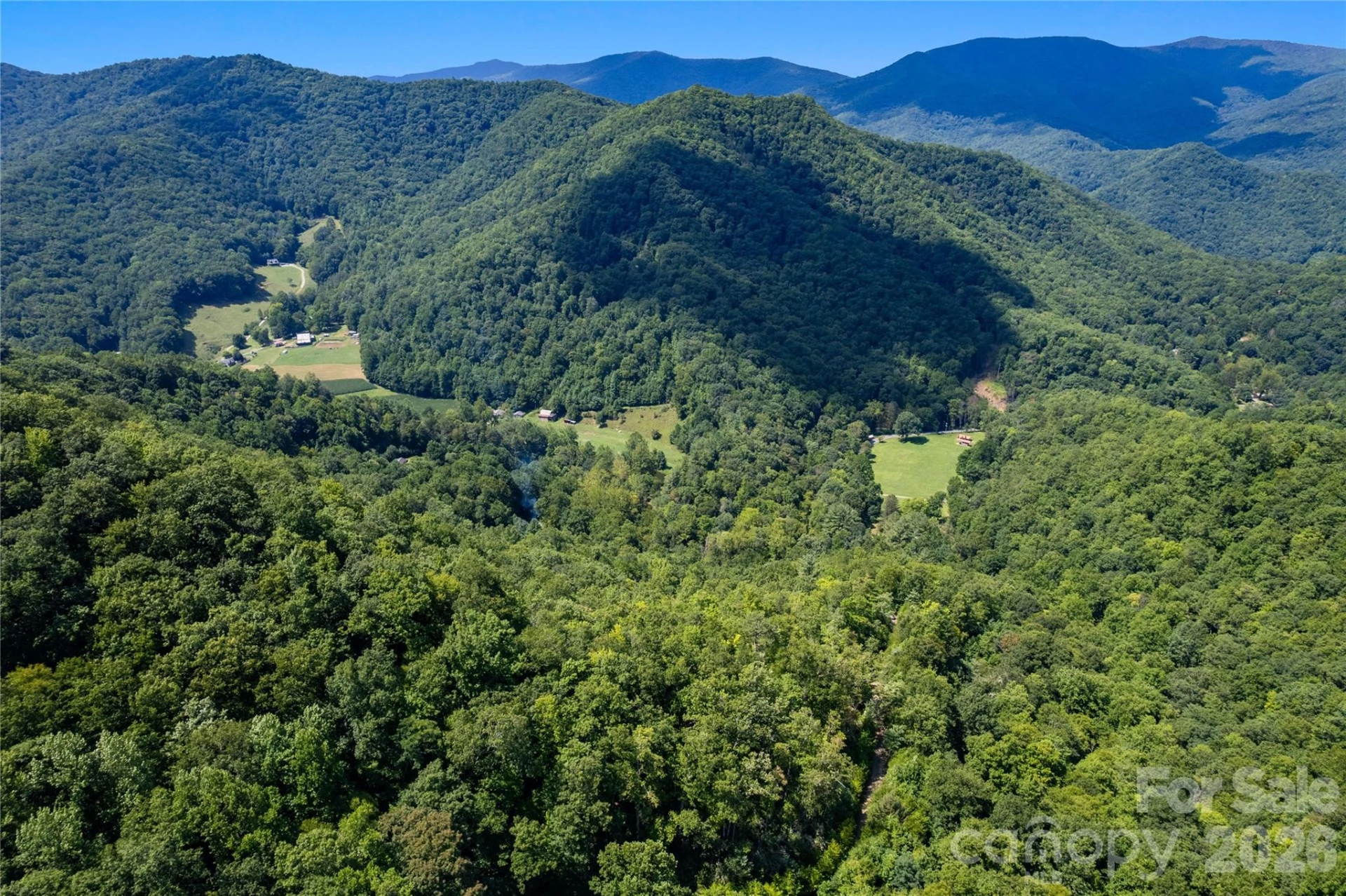 OFF Little East Fork Road #L-1 - Photo 4