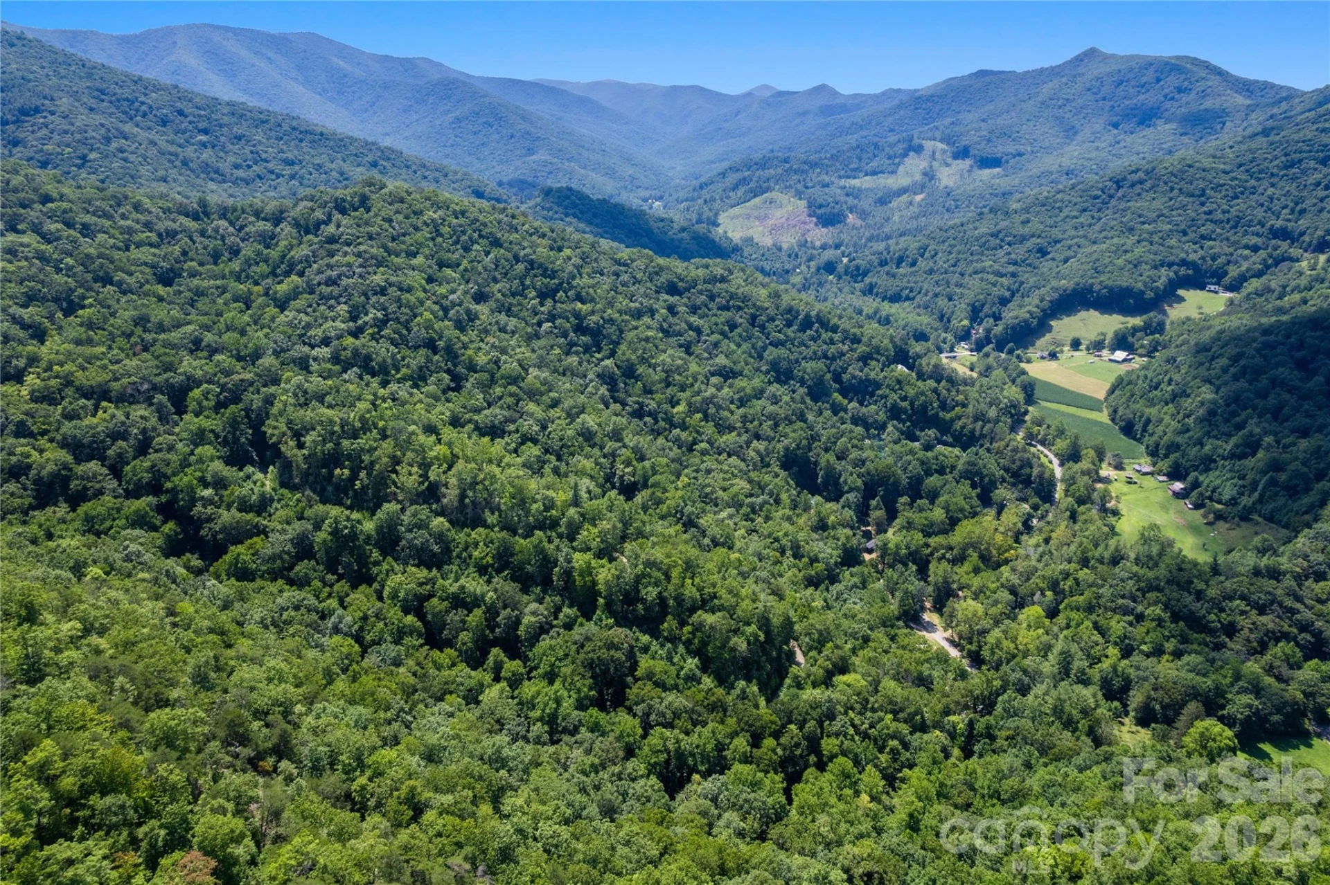 OFF Little East Fork Road #L-1 - Photo 5
