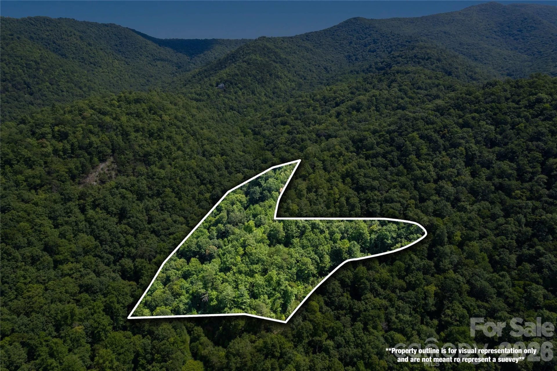 OFF Little East Fork Road #L-1 - Photo 6