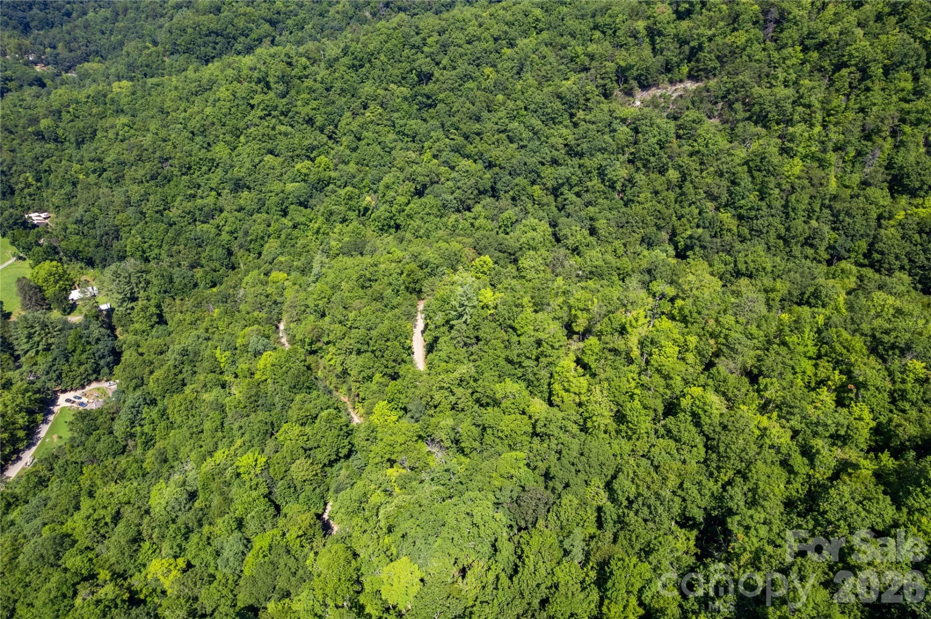 OFF Little East Fork Road #L-1 - Photo 7