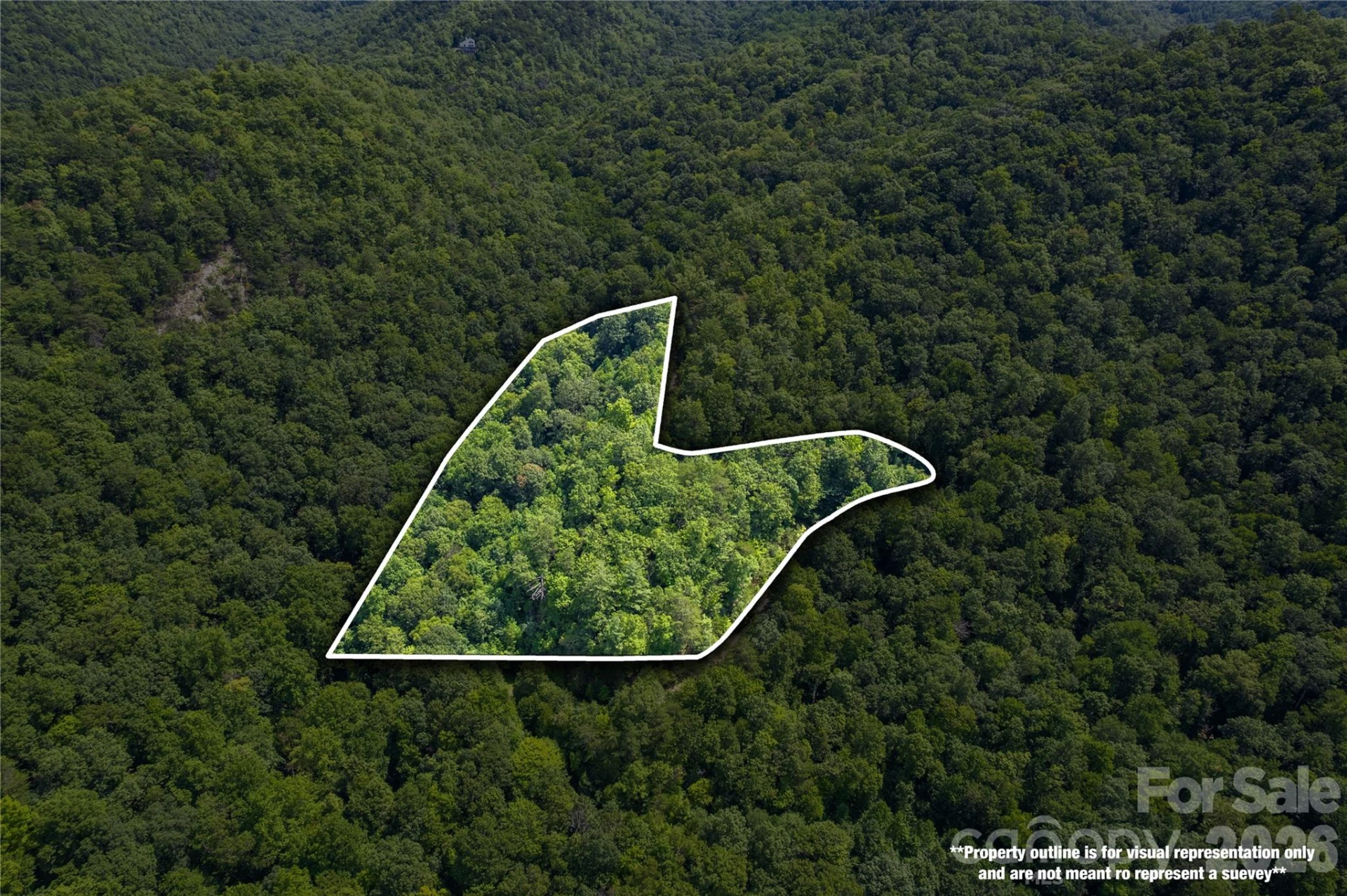 OFF Little East Fork Road #L-1 - Photo 8