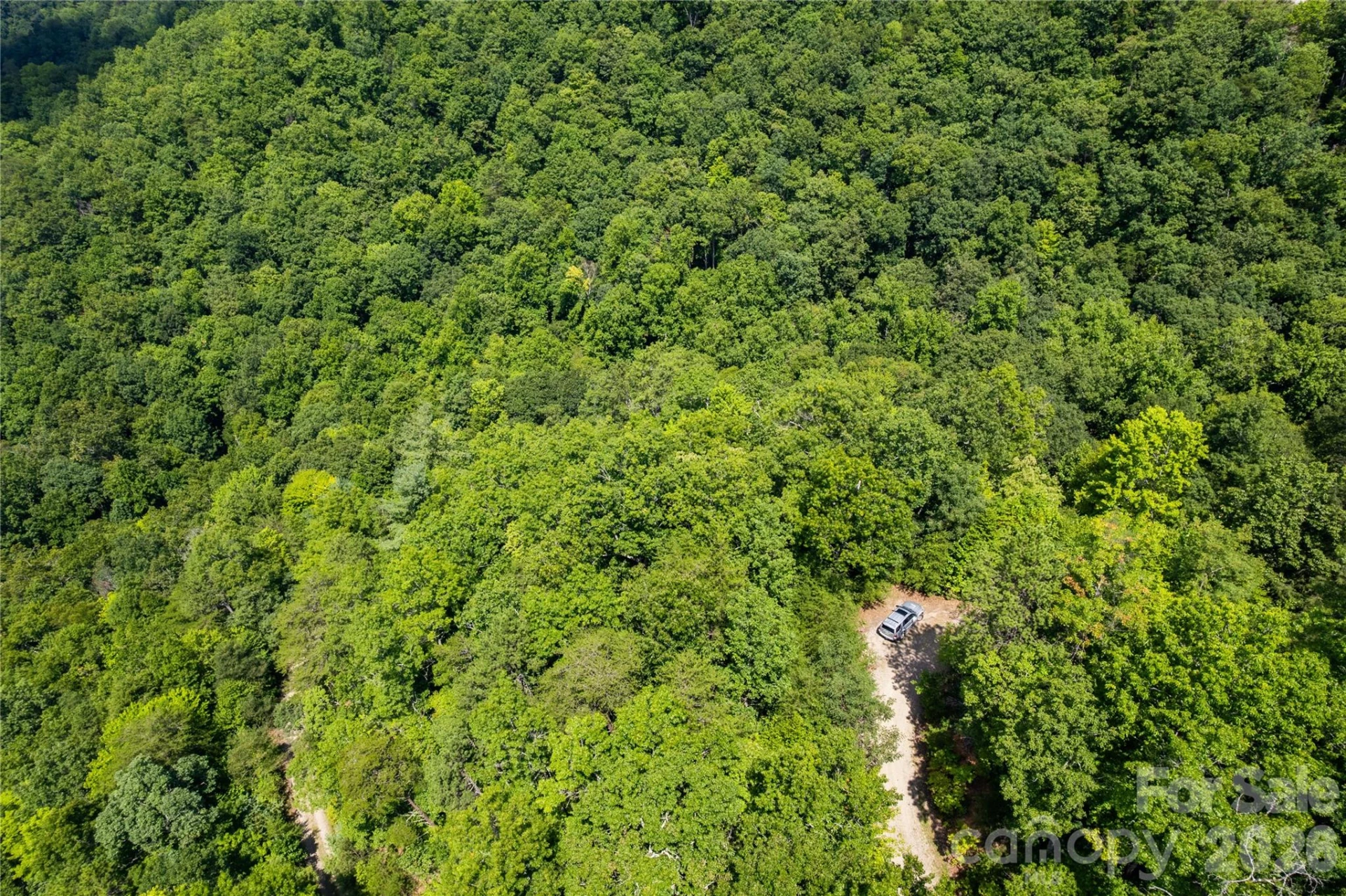 OFF Little East Fork Road #L-1 - Photo 9