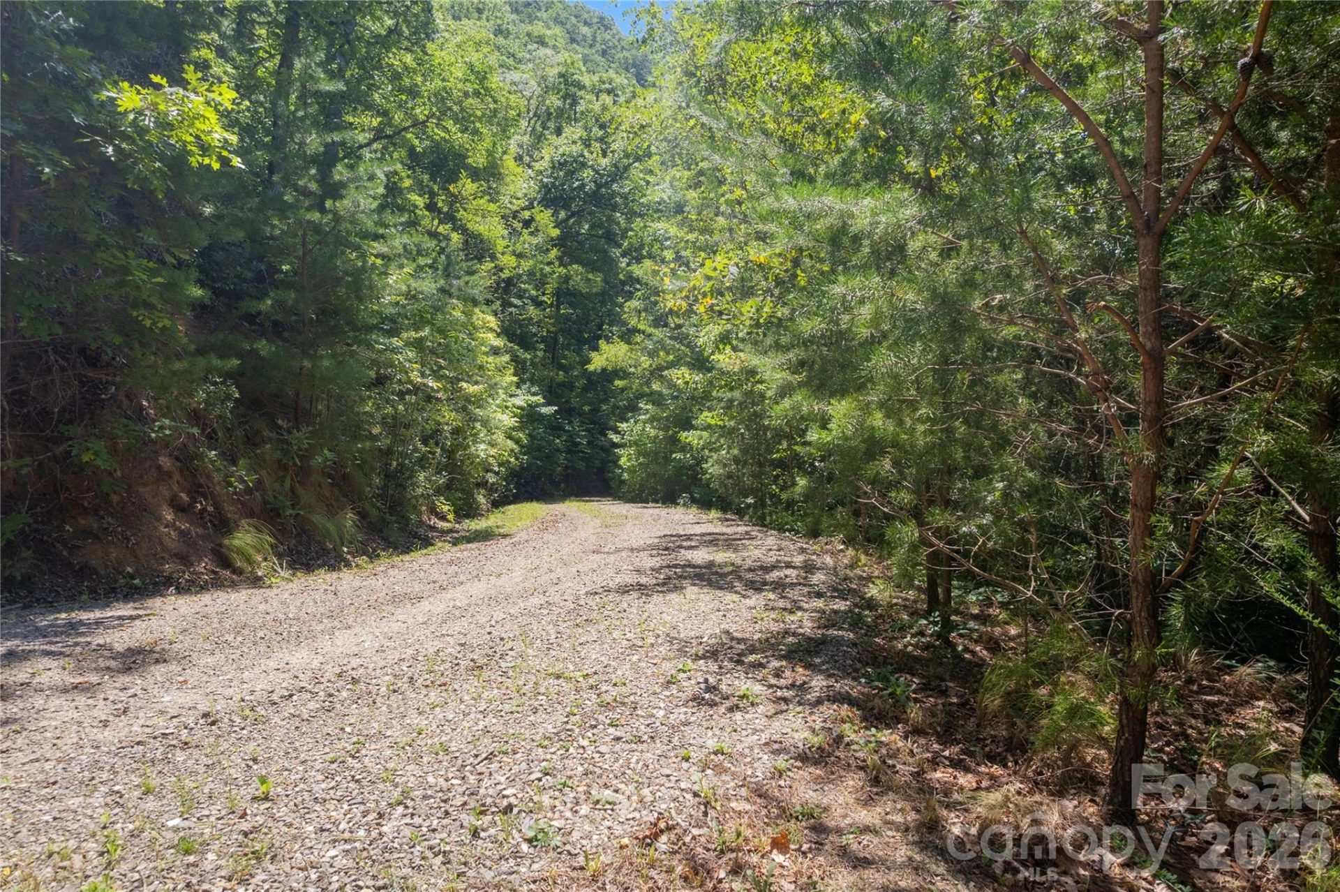 OFF Little East Fork Road #L-1 - Photo 10