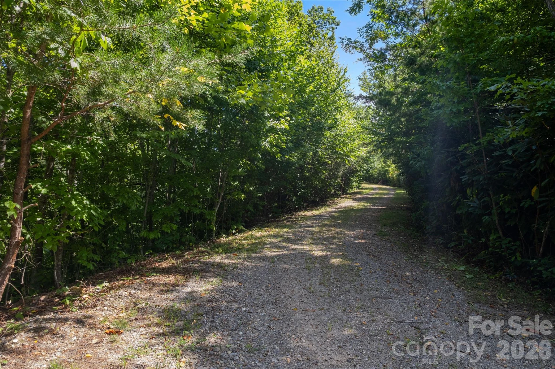 OFF Little East Fork Road #L-1 - Photo 11