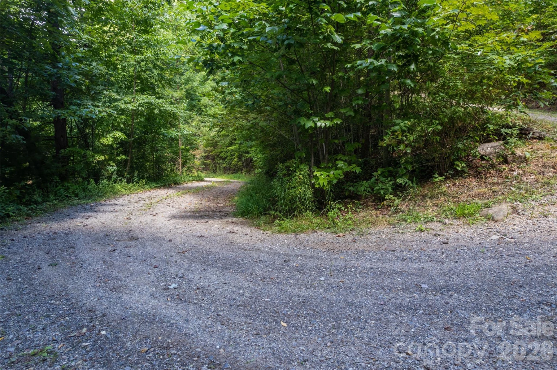 OFF Little East Fork Road #L-1 - Photo 13