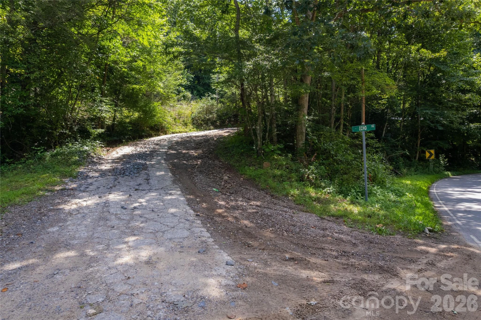 OFF Little East Fork Road #L-1 - Photo 14