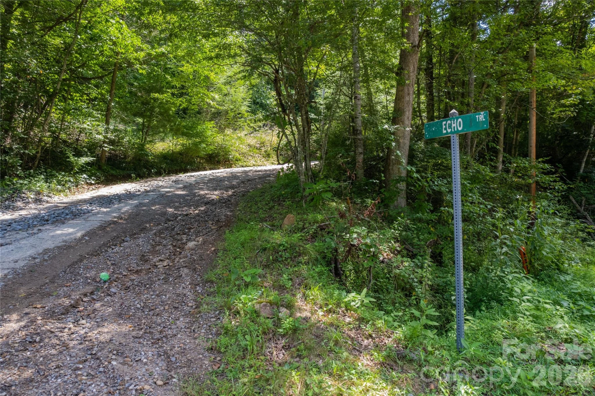 OFF Little East Fork Road #L-1 - Photo 15