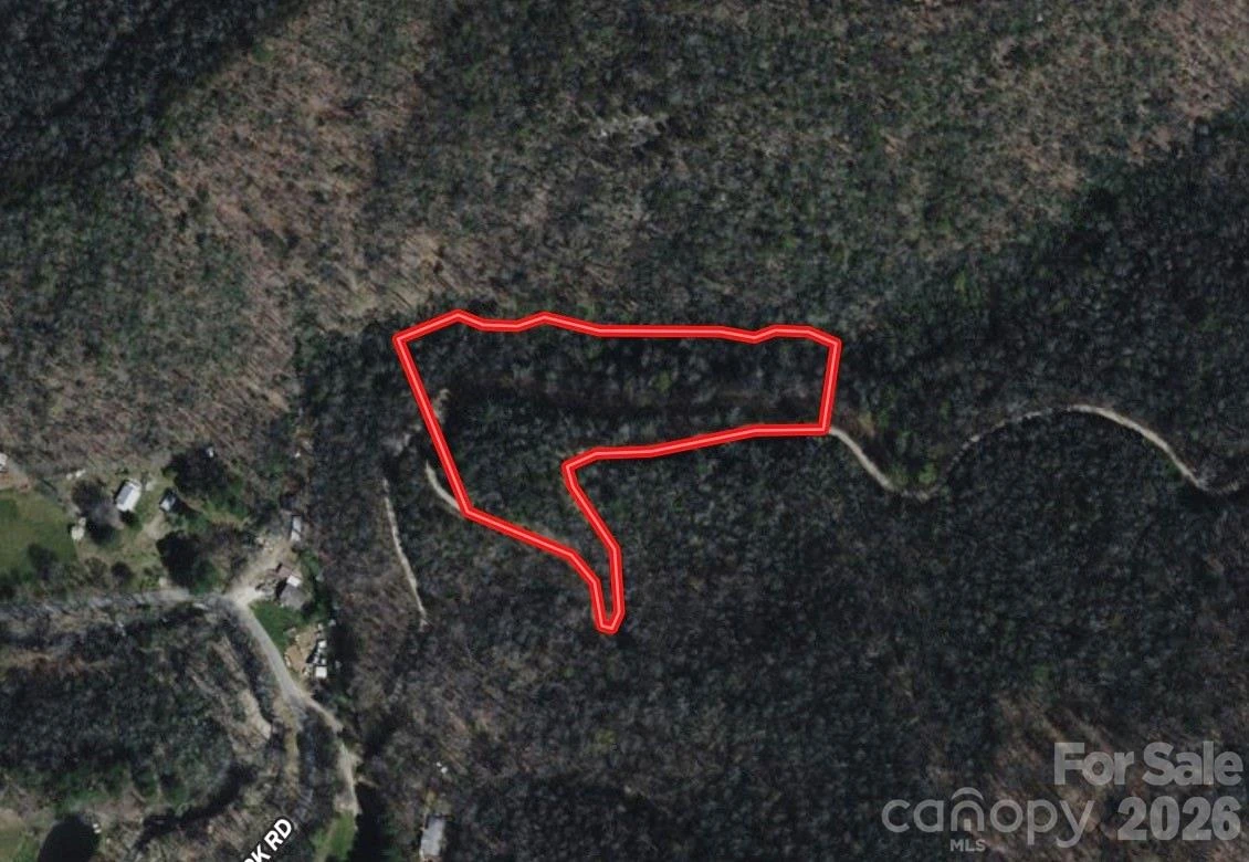 OFF Little East Fork Road #L-1 - Photo 16