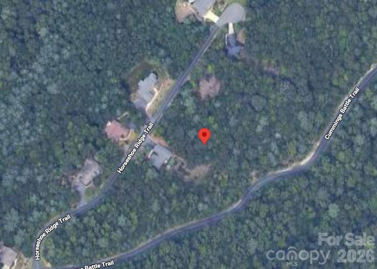 Lot 117 Horse Shoe Ridge Trail #117 - Photo 2