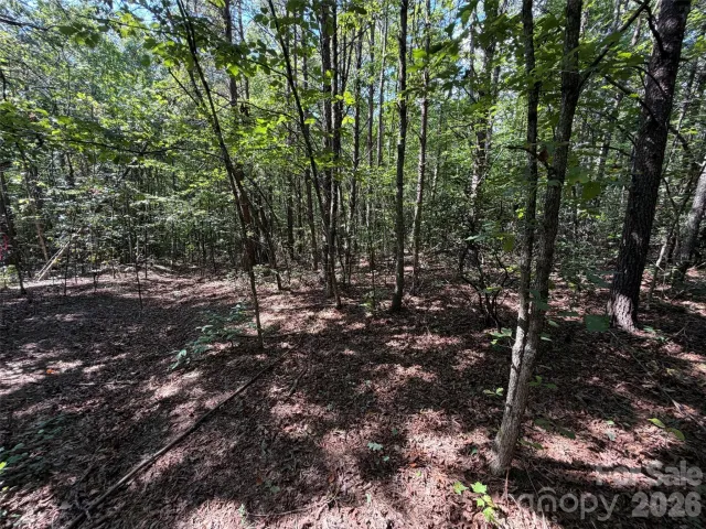 476 Southern Way, Nebo, NC, 28761