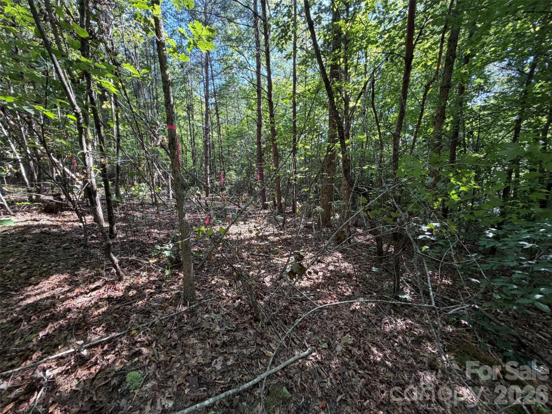 476 Southern Way - Photo 2
