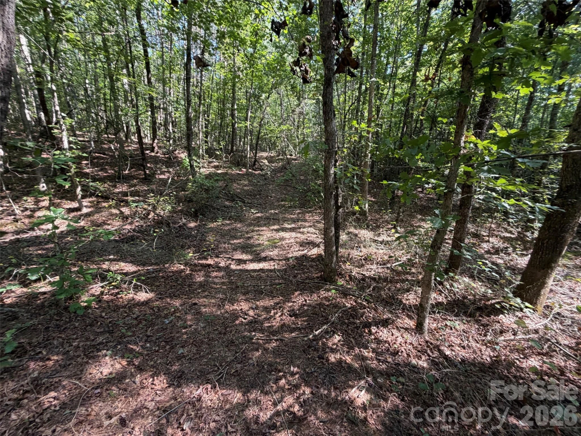476 Southern Way - Photo 3
