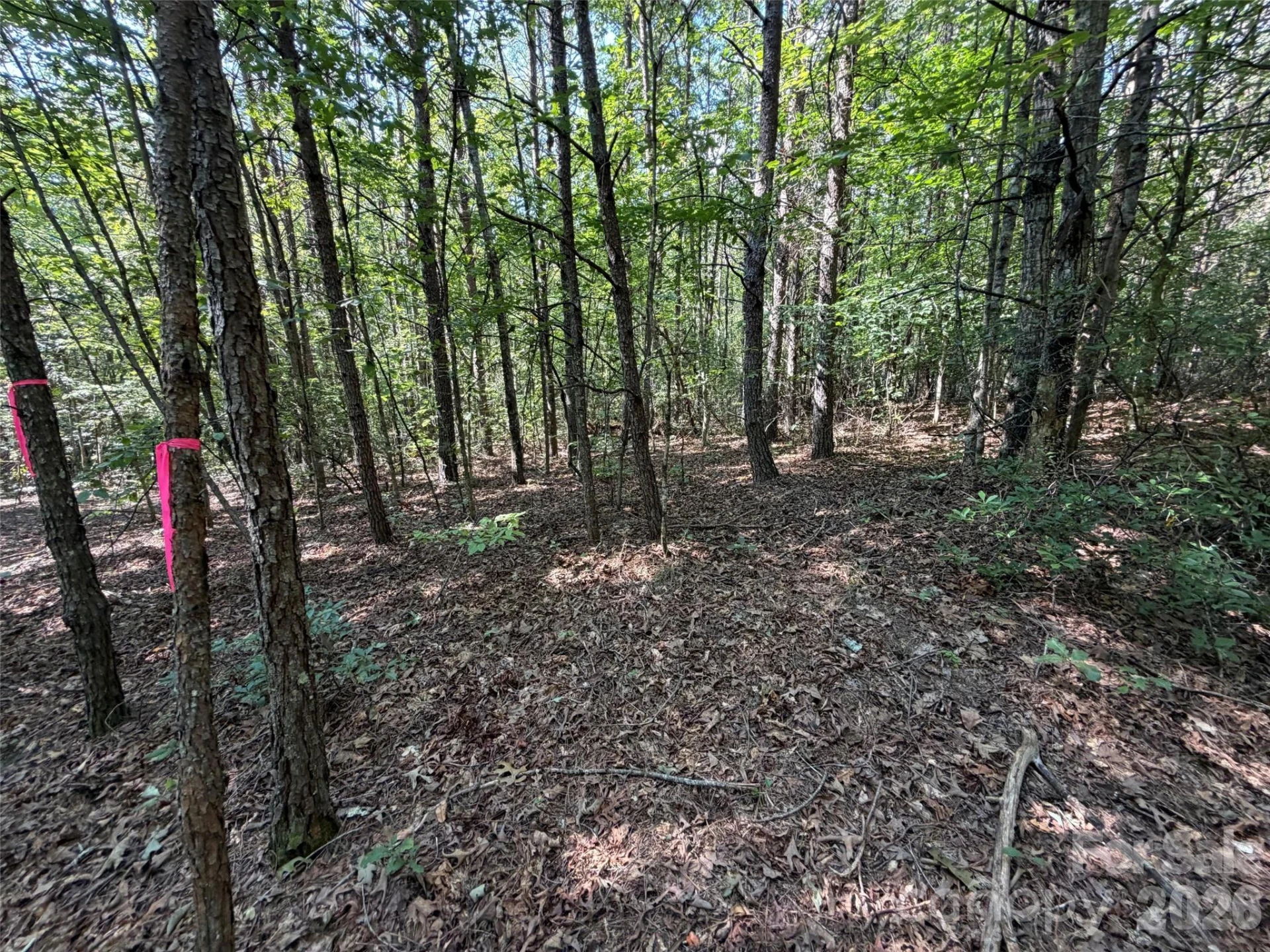 476 Southern Way - Photo 4
