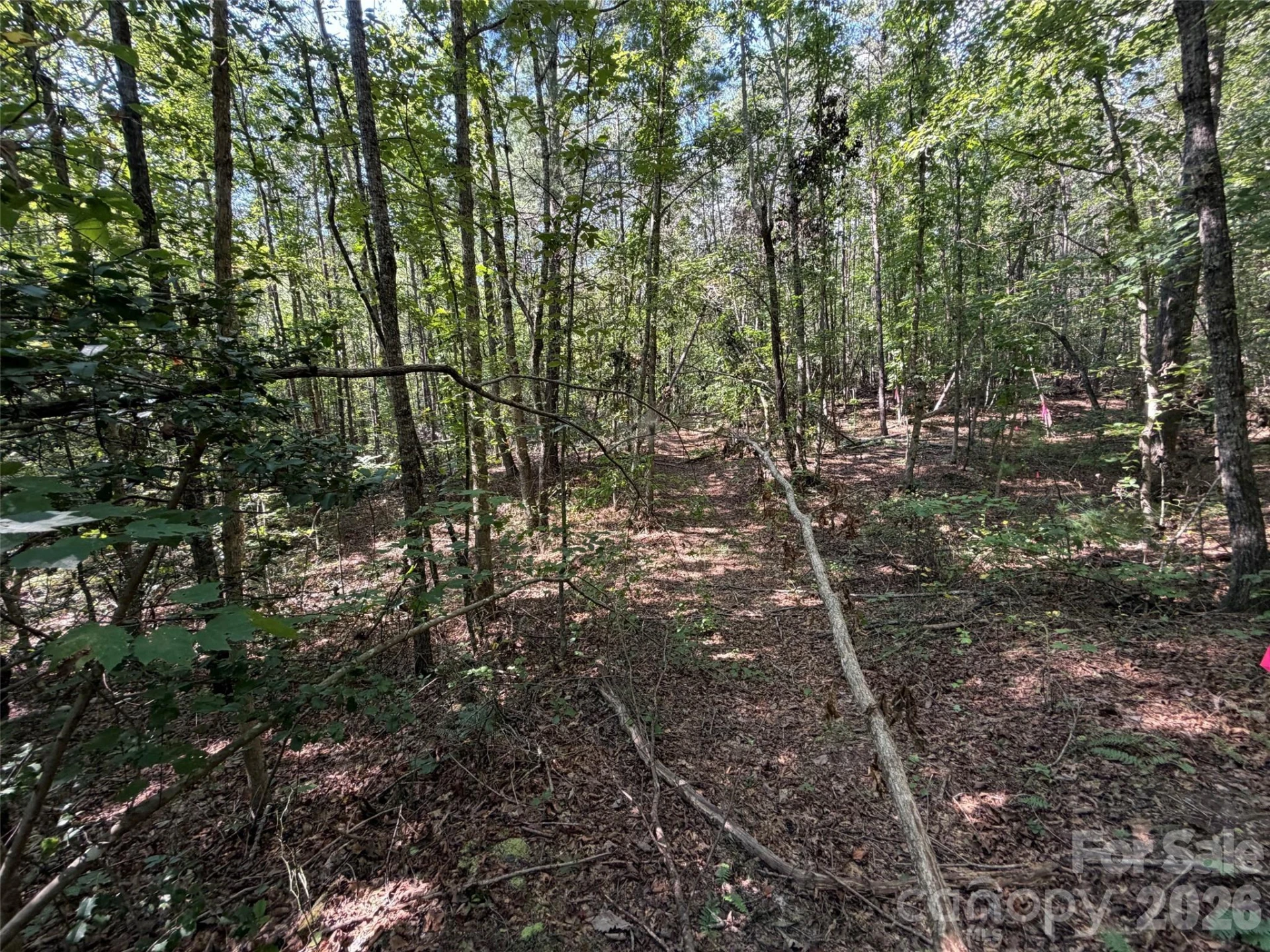 476 Southern Way - Photo 5