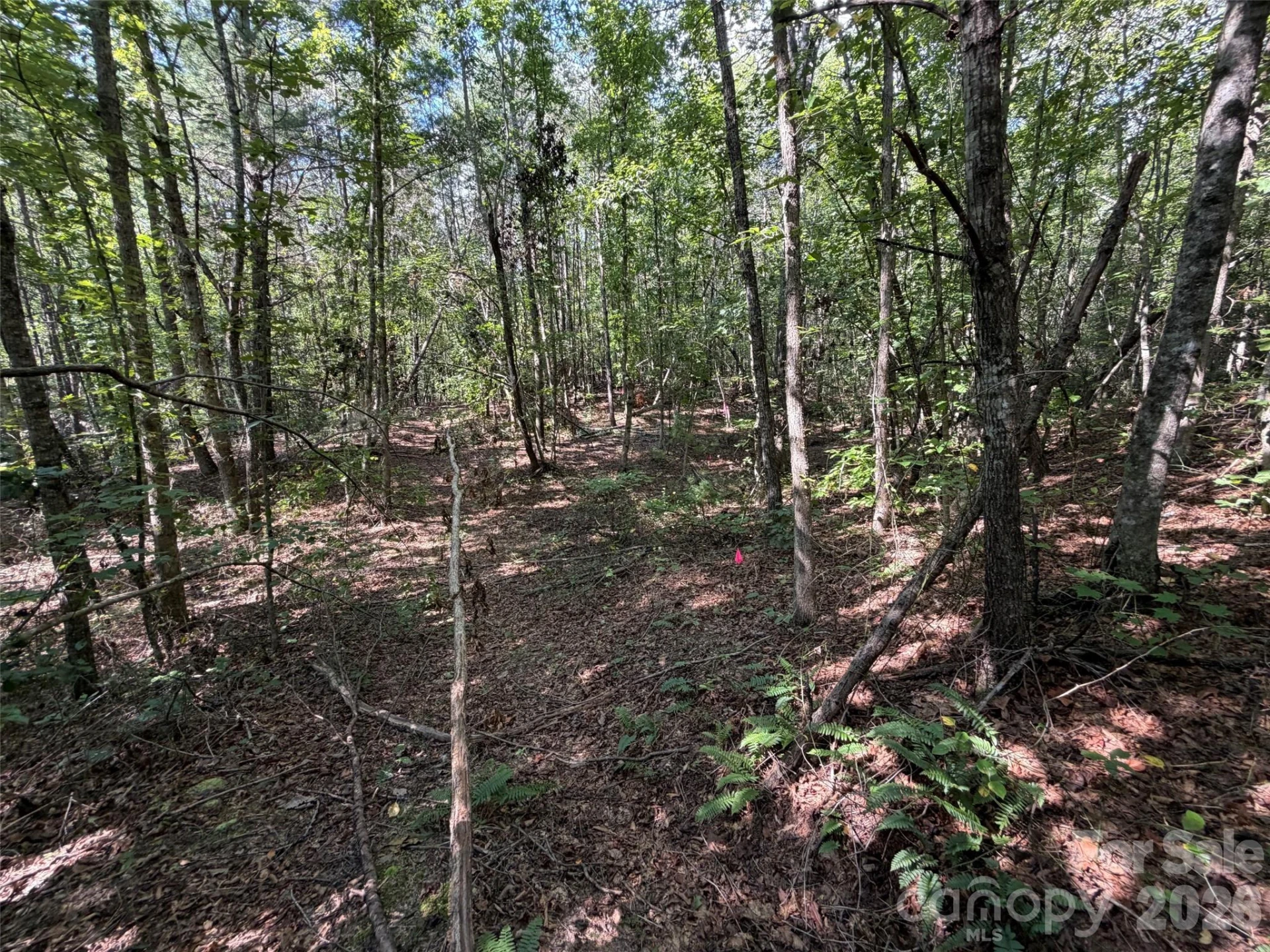 476 Southern Way - Photo 6