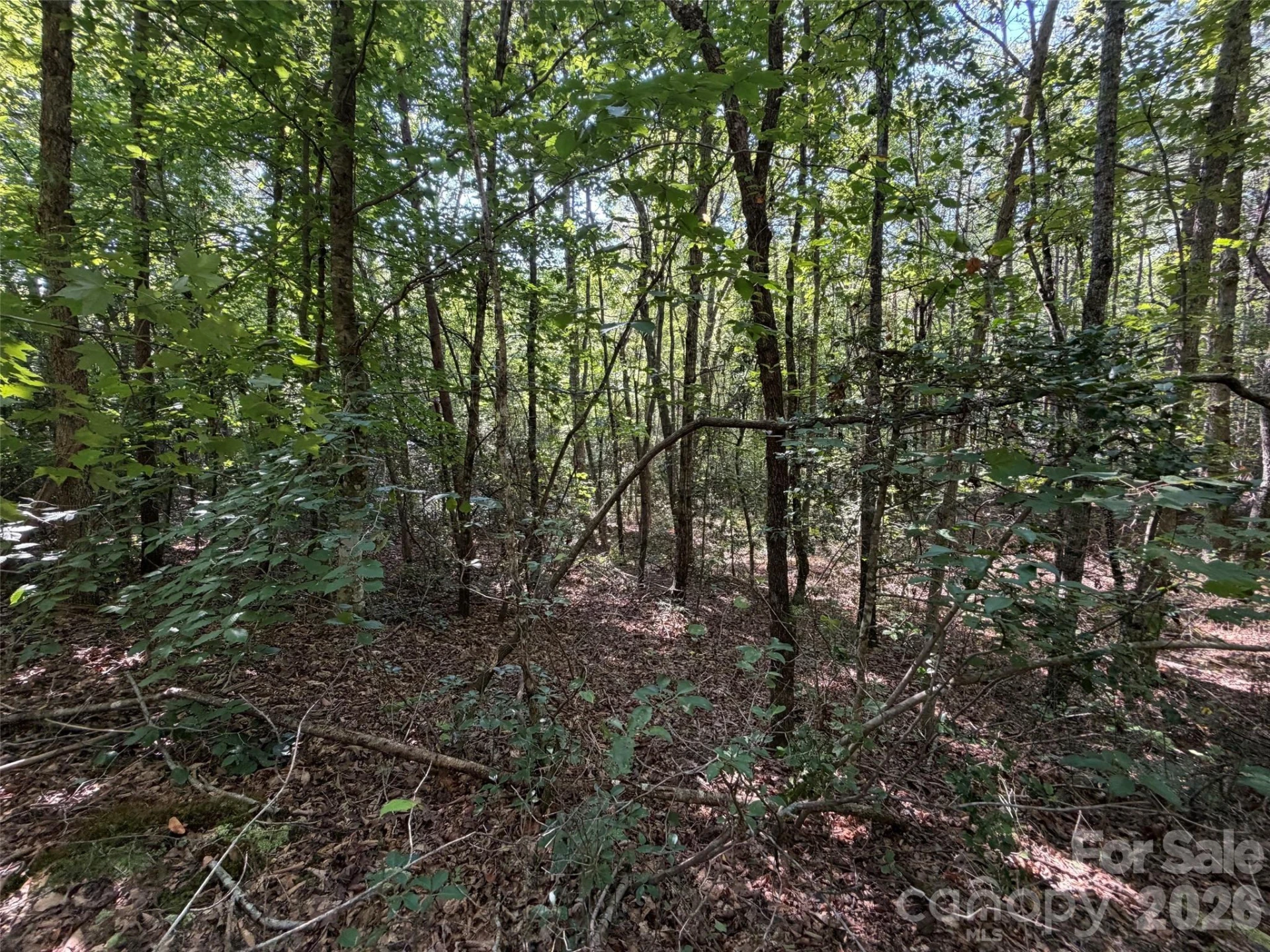 476 Southern Way - Photo 7
