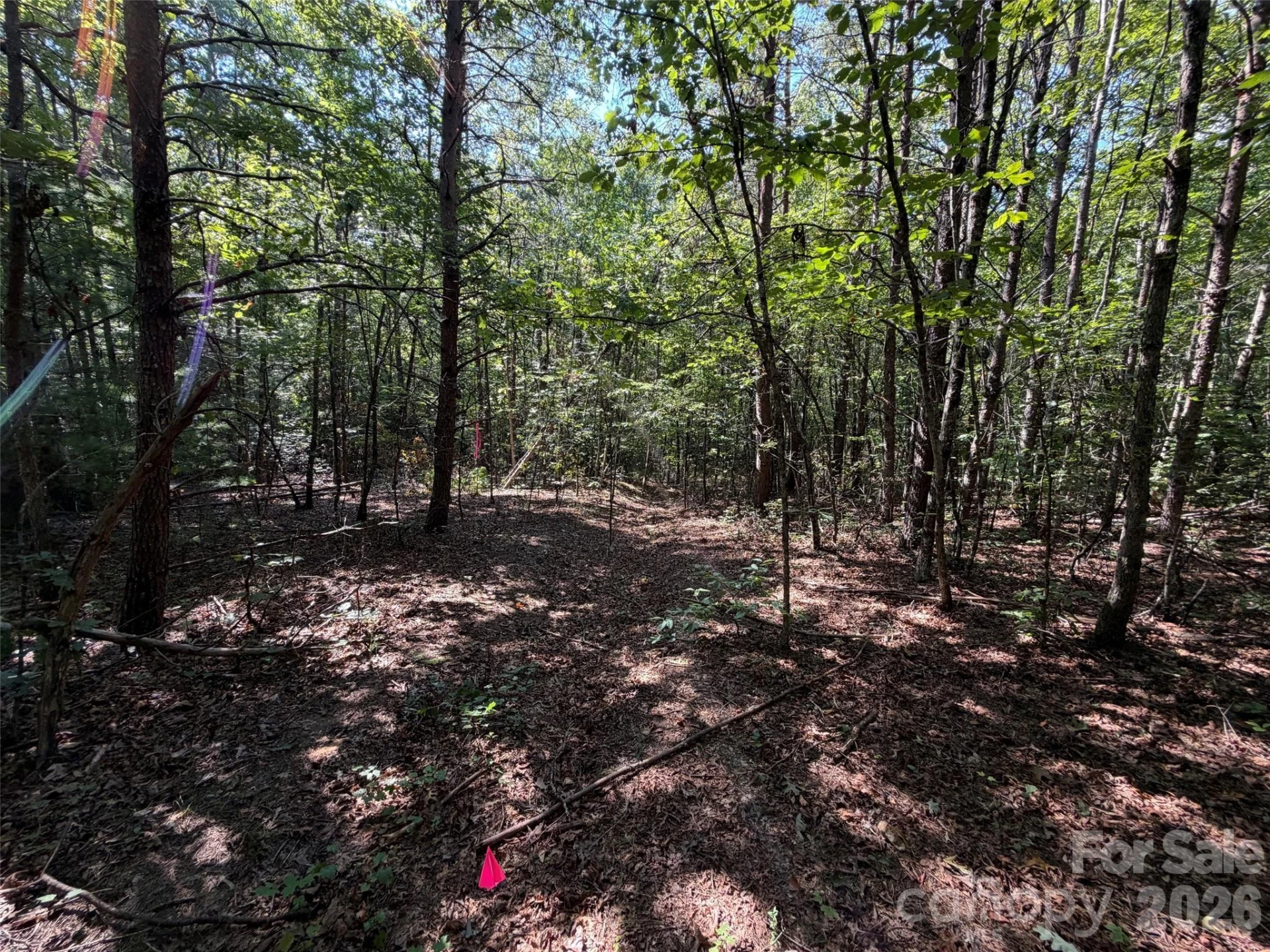 476 Southern Way - Photo 8
